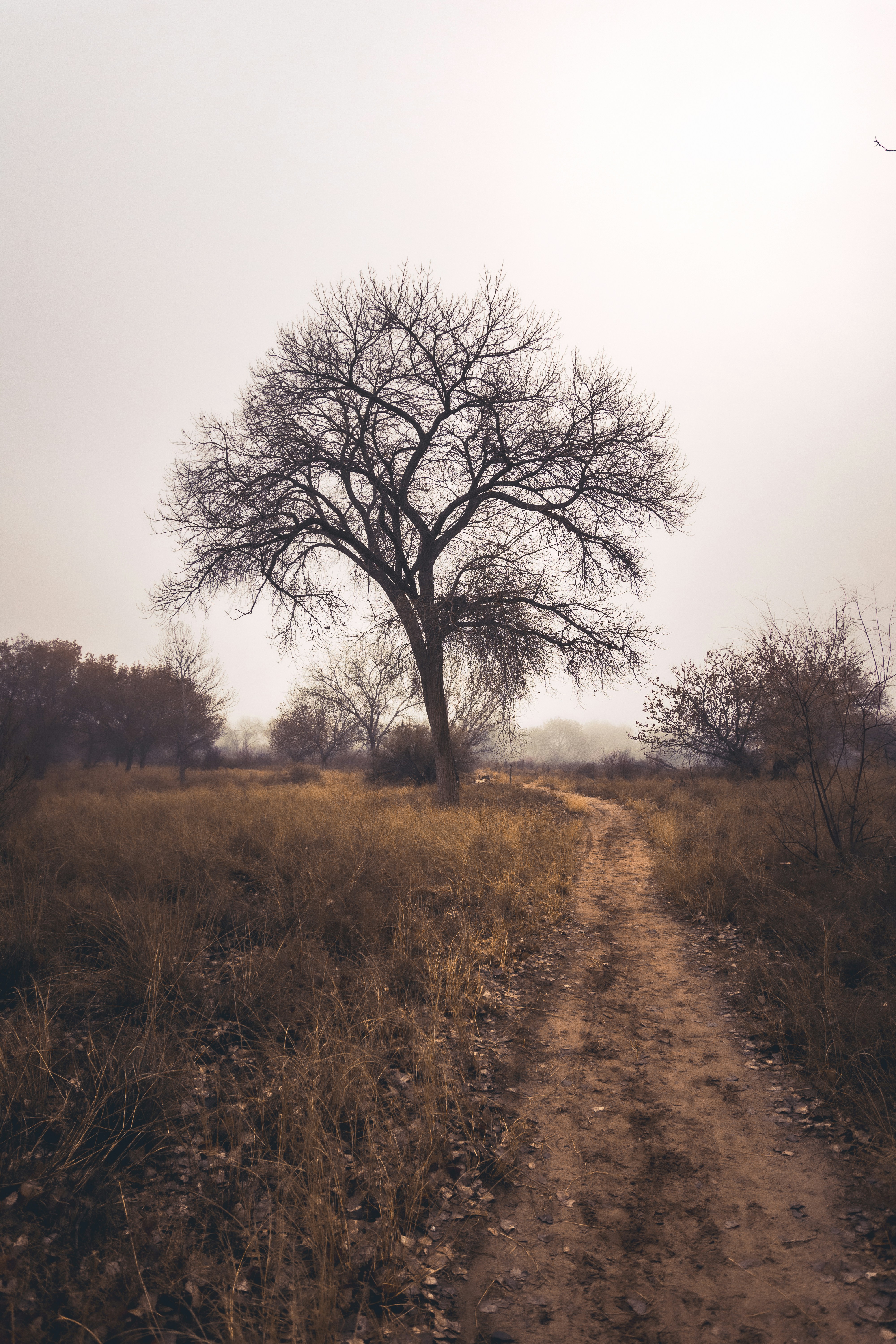 Photo by scottelkins