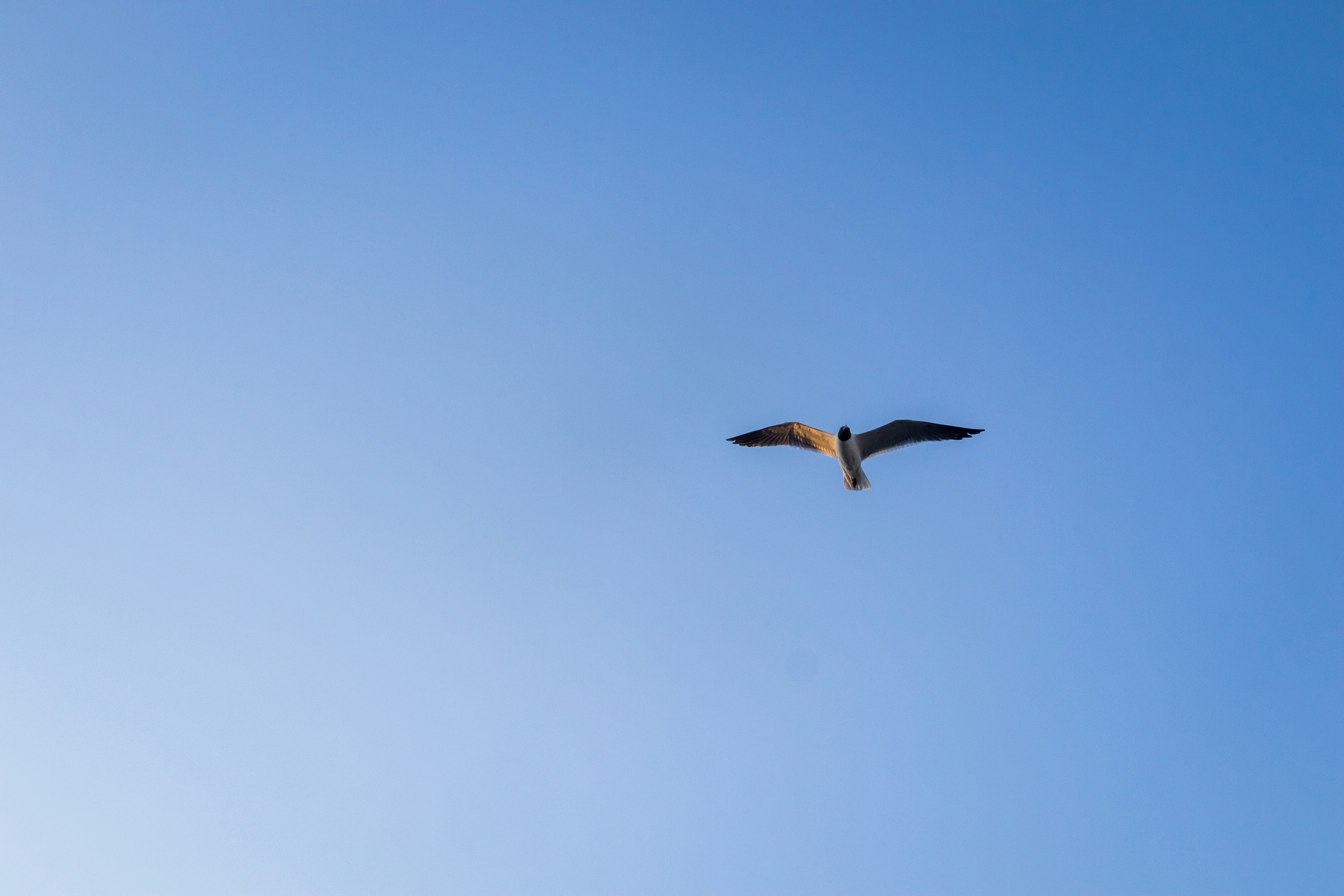 Photo by frassierluisa