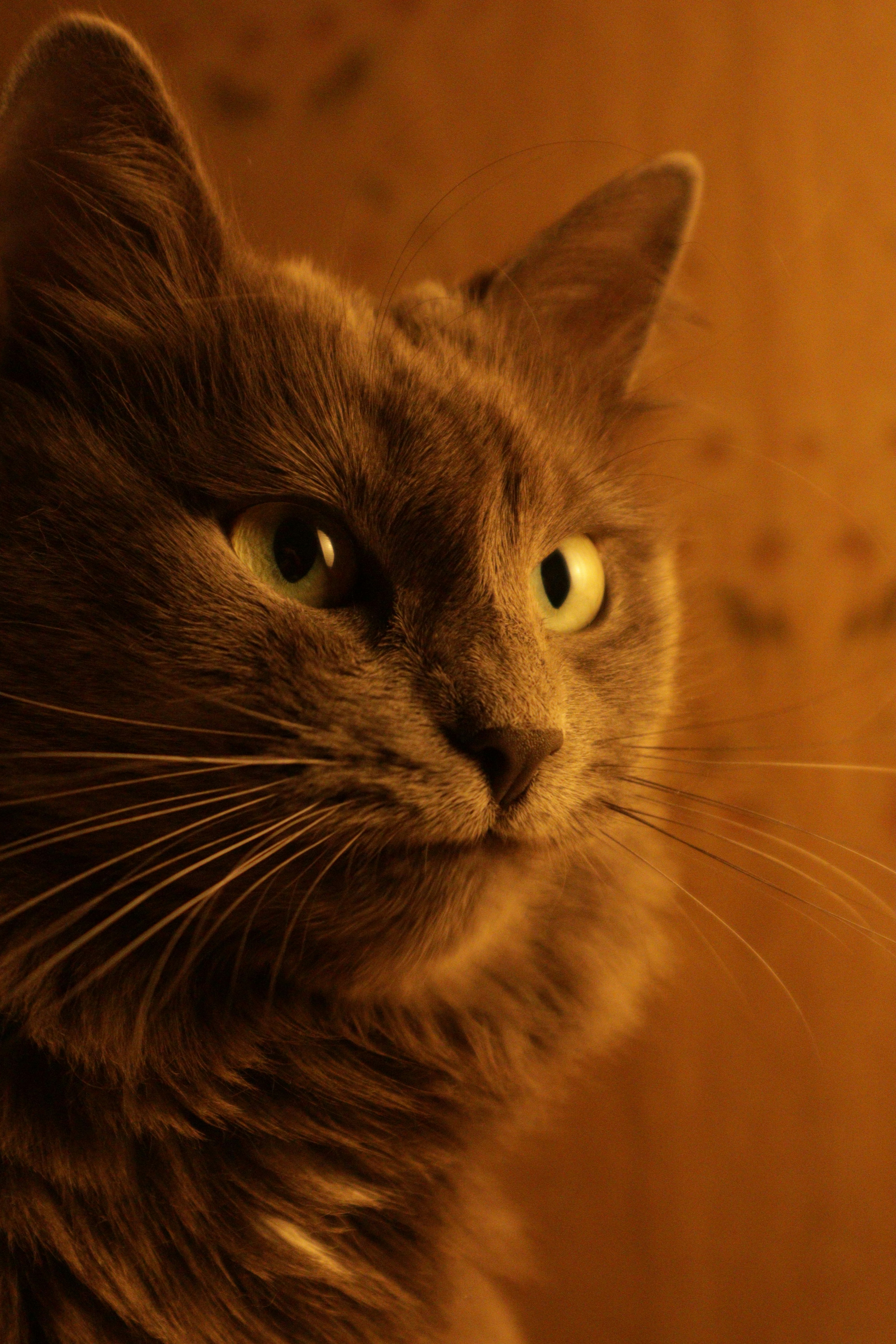 Photo by timesnewroman14