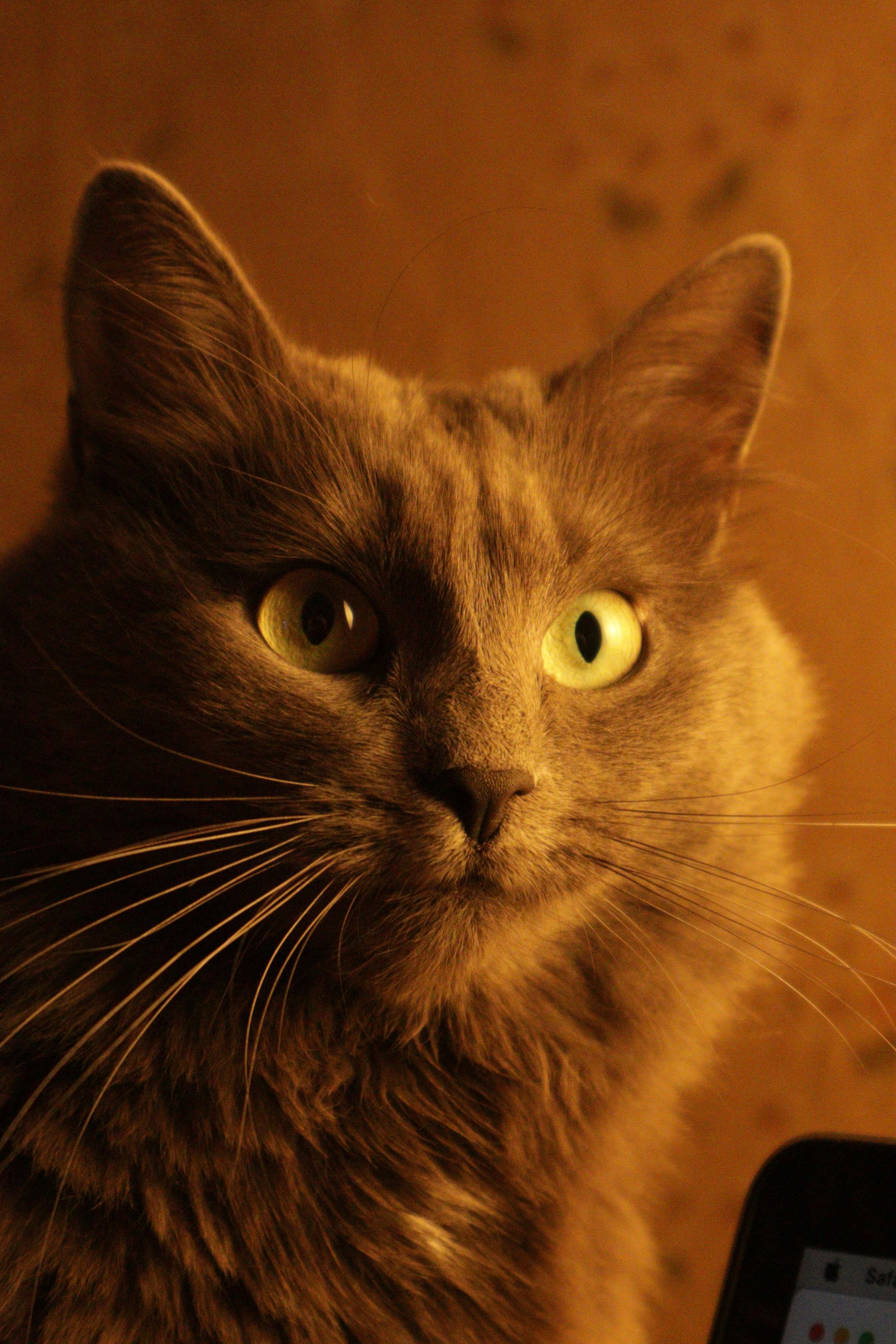 Photo by timesnewroman14