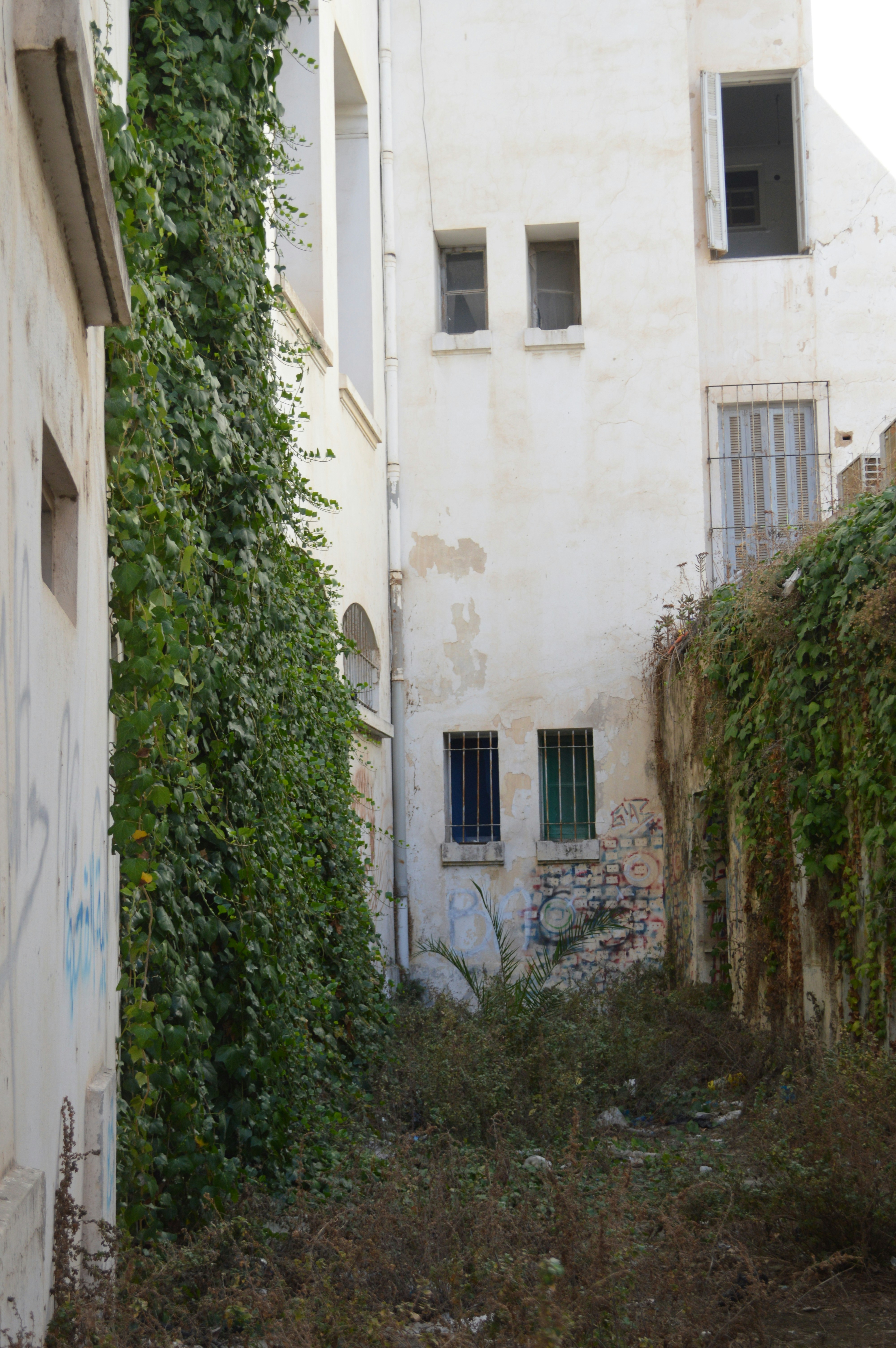 Photo by fourti_chahd