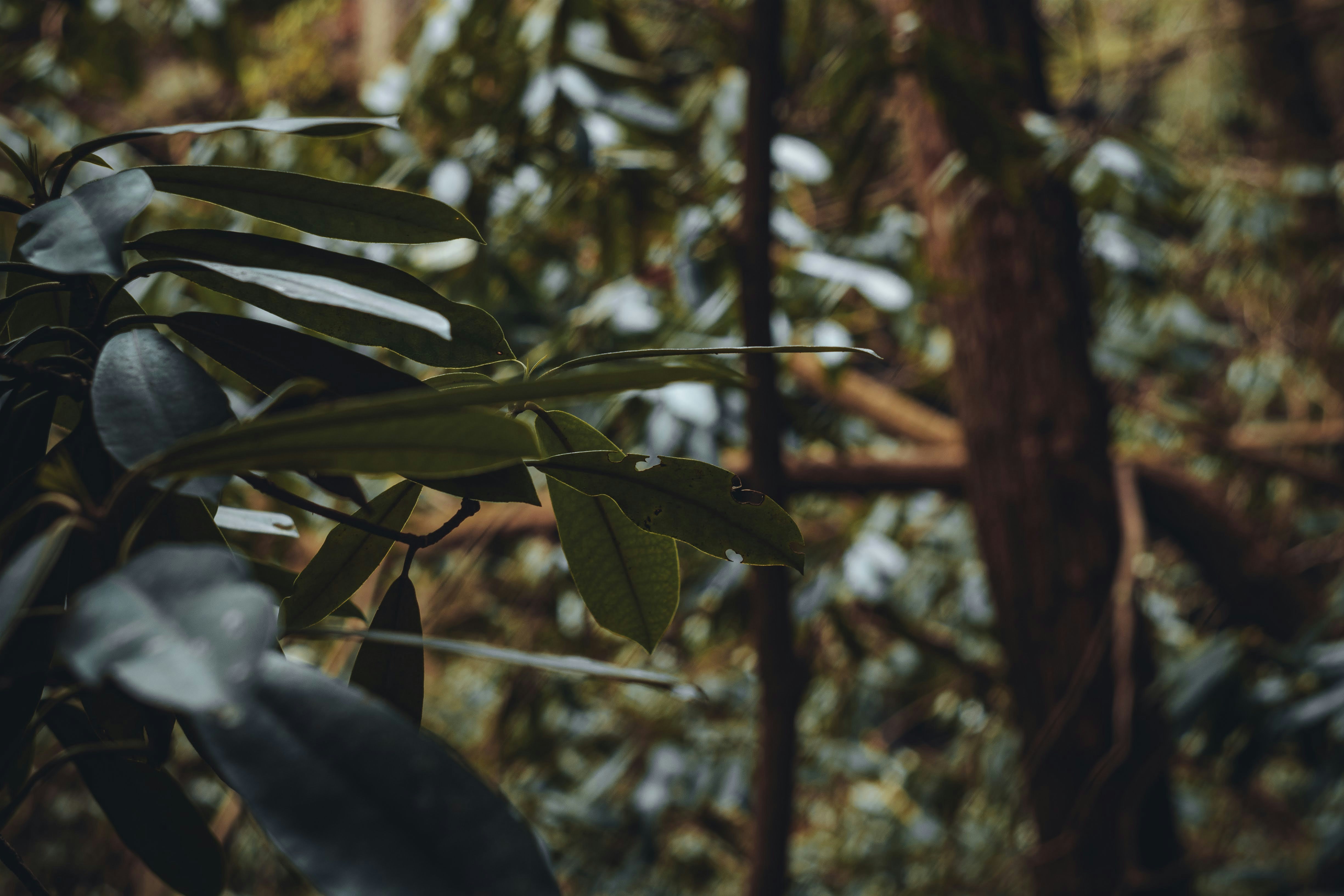 Photo by brice_cooper18