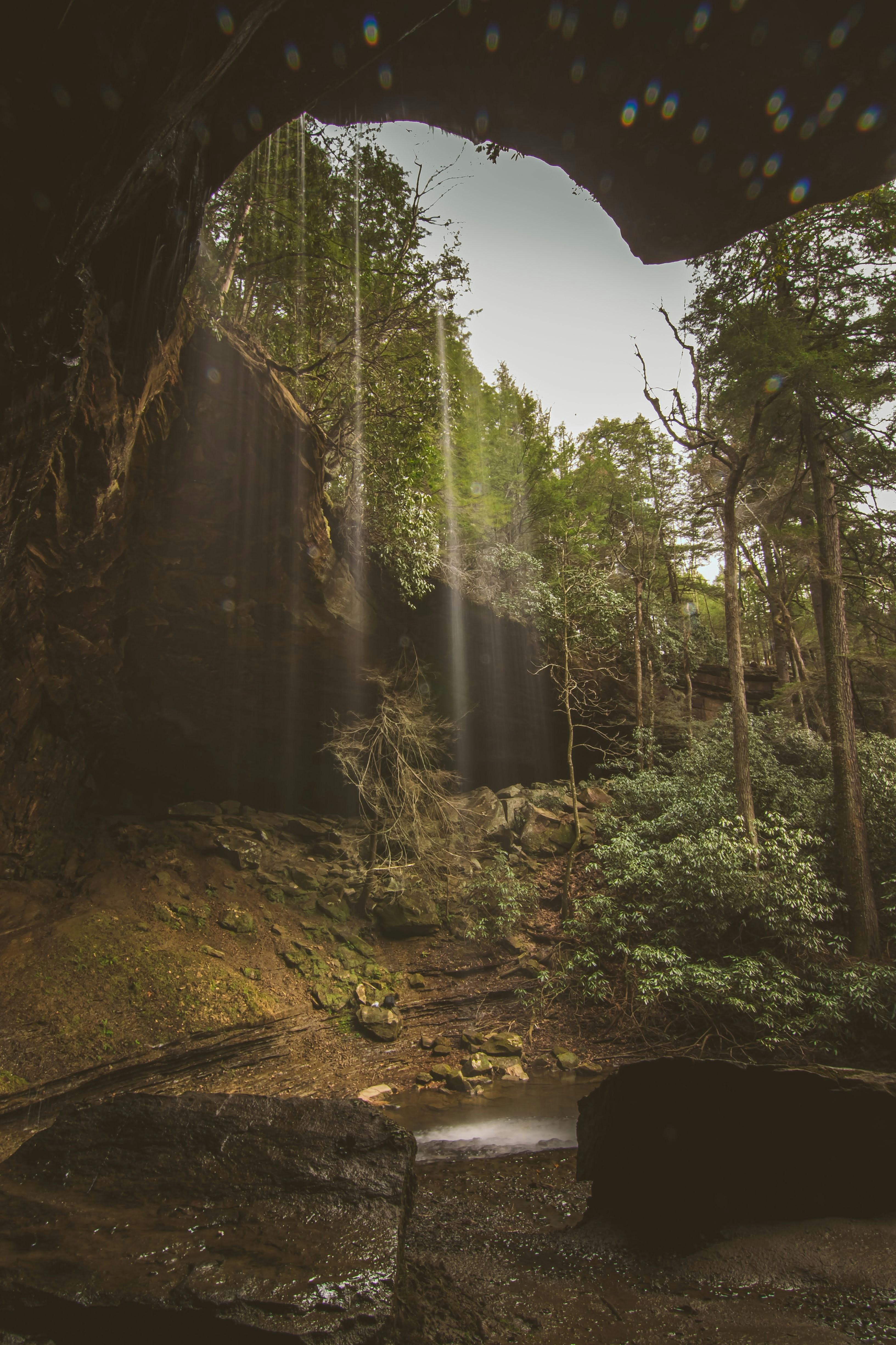 Photo by brice_cooper18