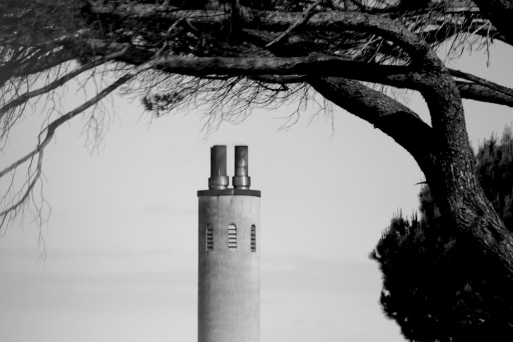 a tree next to a lighthouse