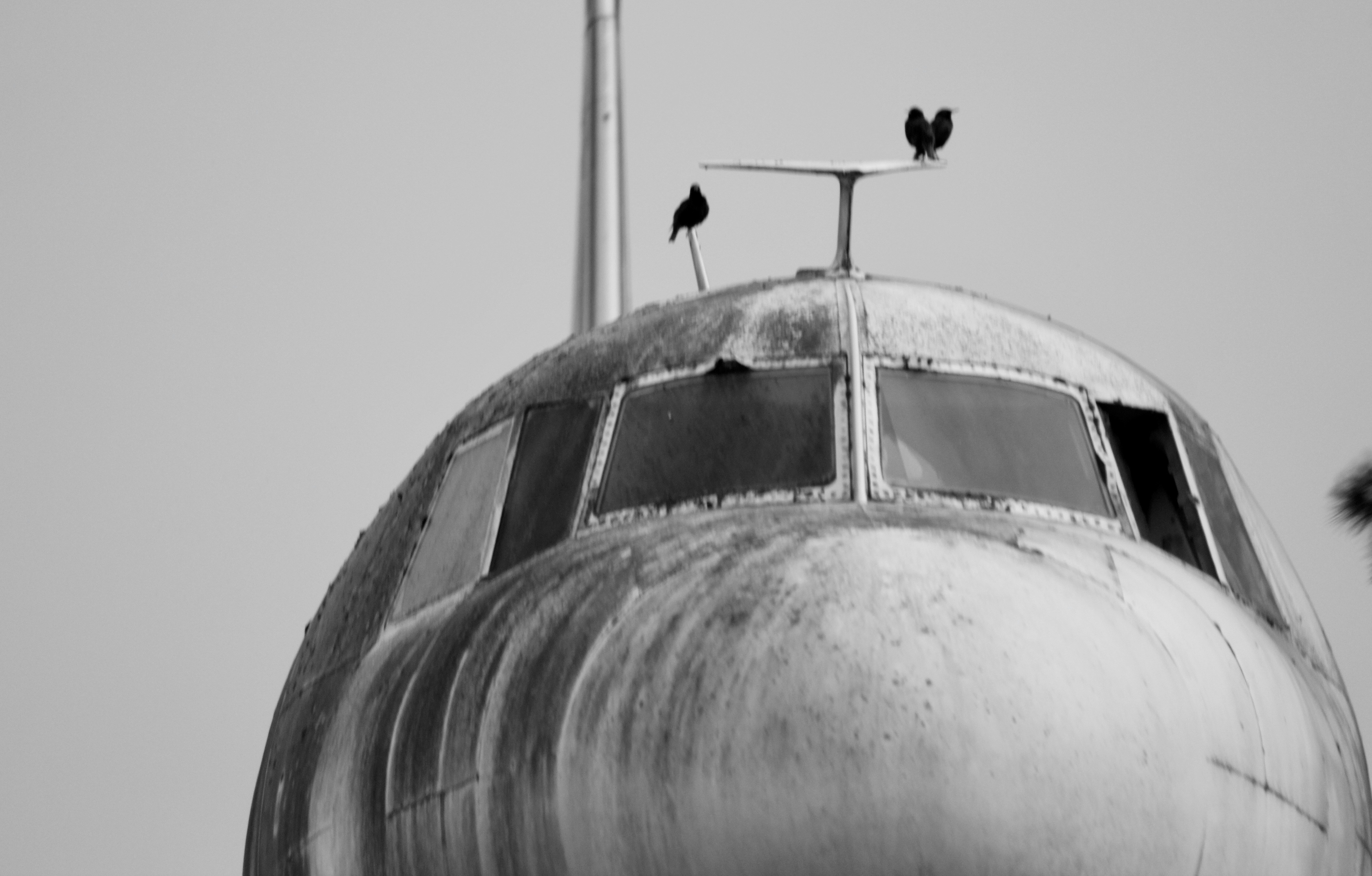 Photo by henniestander