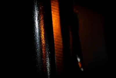 Artistic shot highlighting the contrast between deep black background and gold accents on the product.