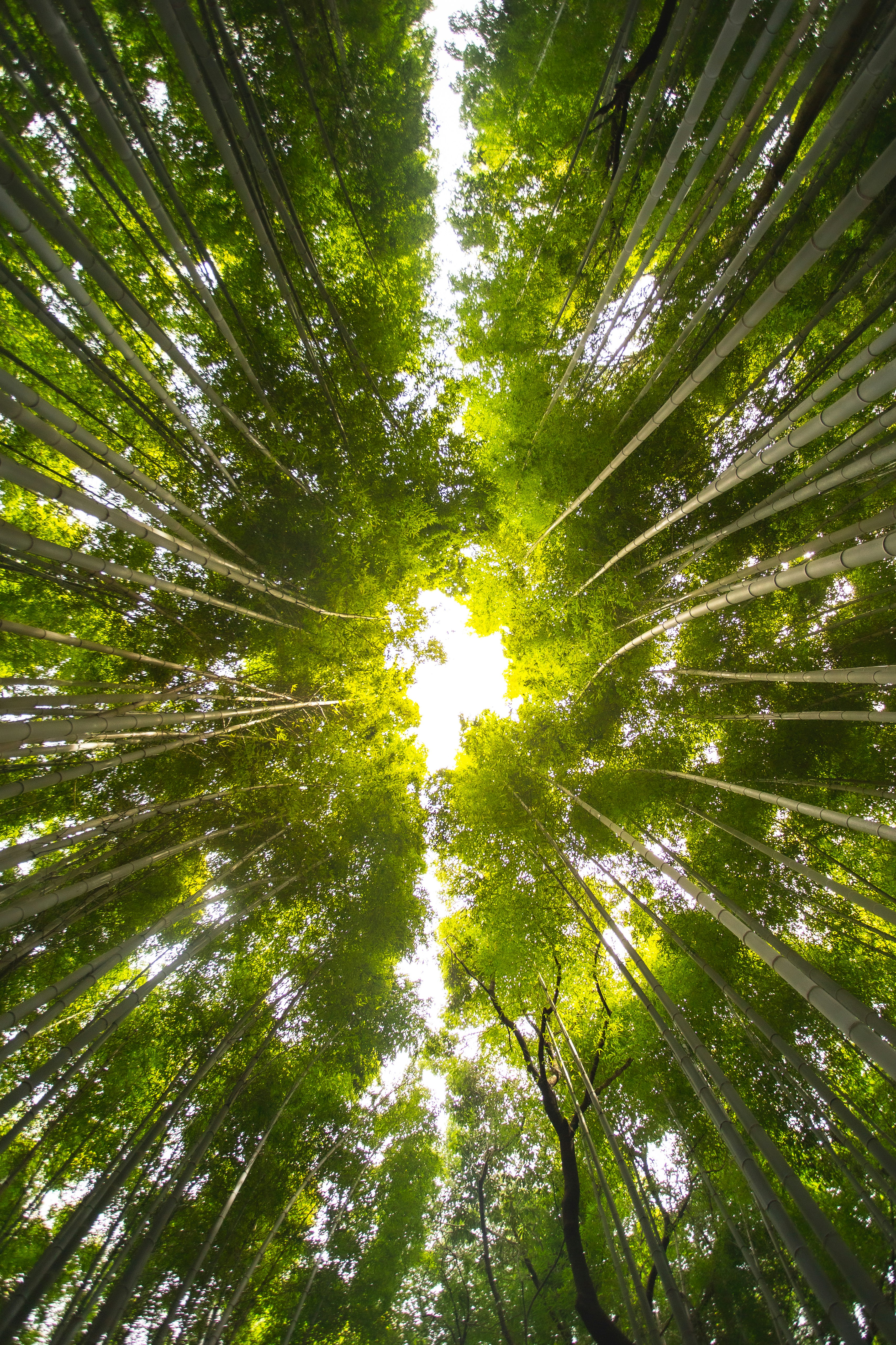 Photo by marekpiwnicki