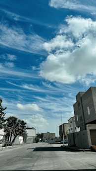 Quiet street in Neuquén city with modern buildings under an overcast sky.
