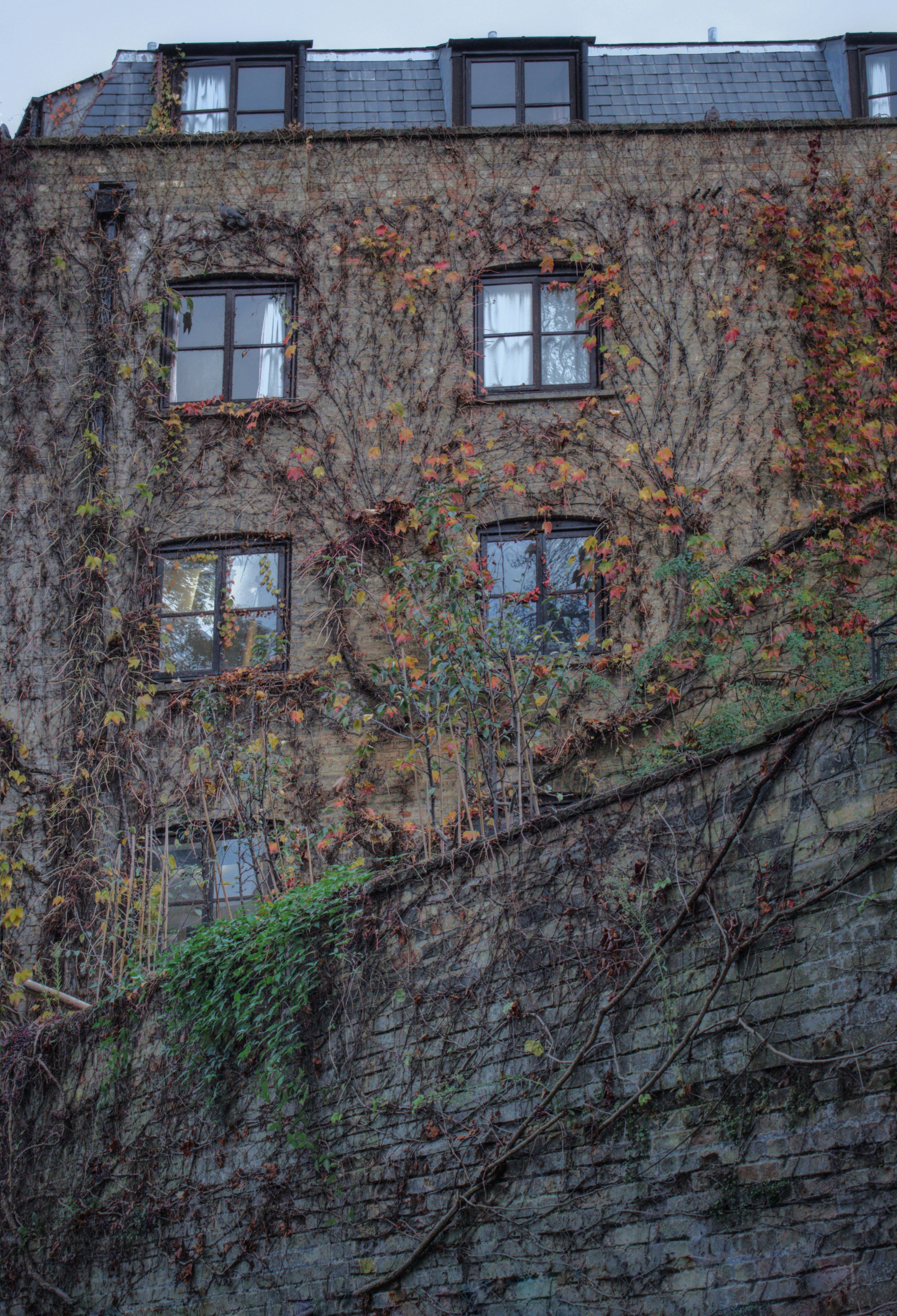 Photo by ribakos