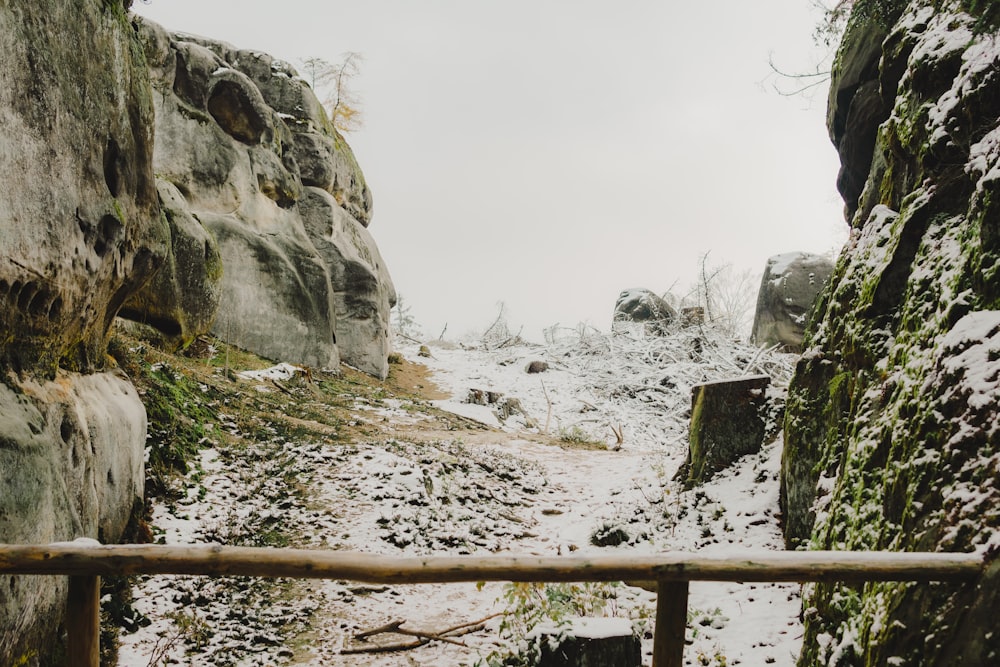 a snowy mountain side