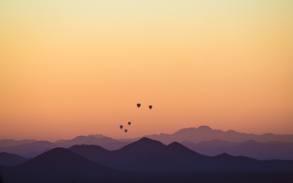 a group of hot air balloons in the sky