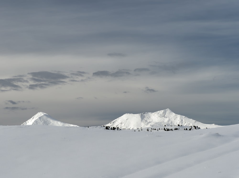 a snowy landscape with mountains in the background