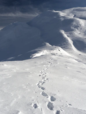 Footprints in the snow leading toward a distant peak under soft morning light.