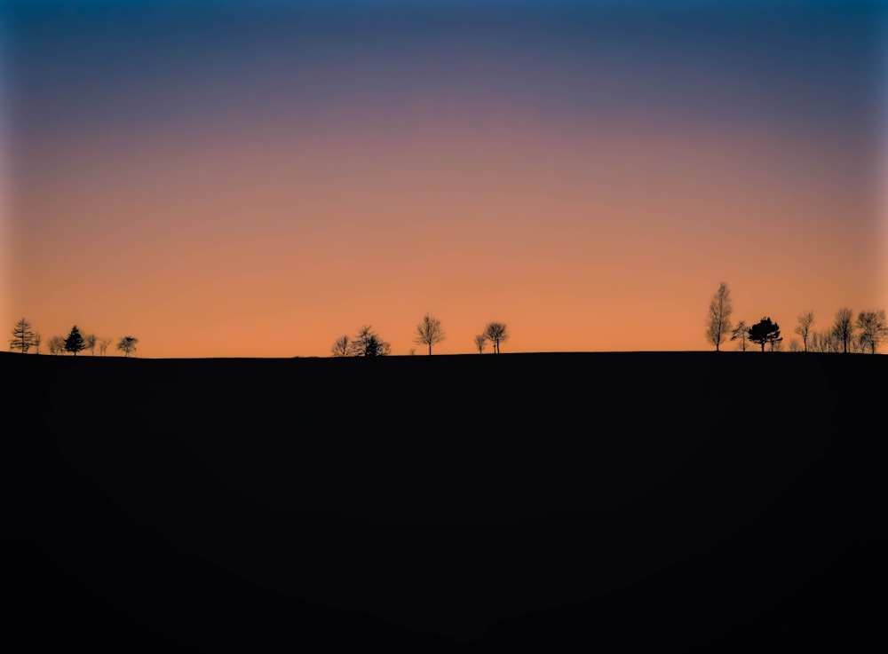 a silhouette of trees and a sunset