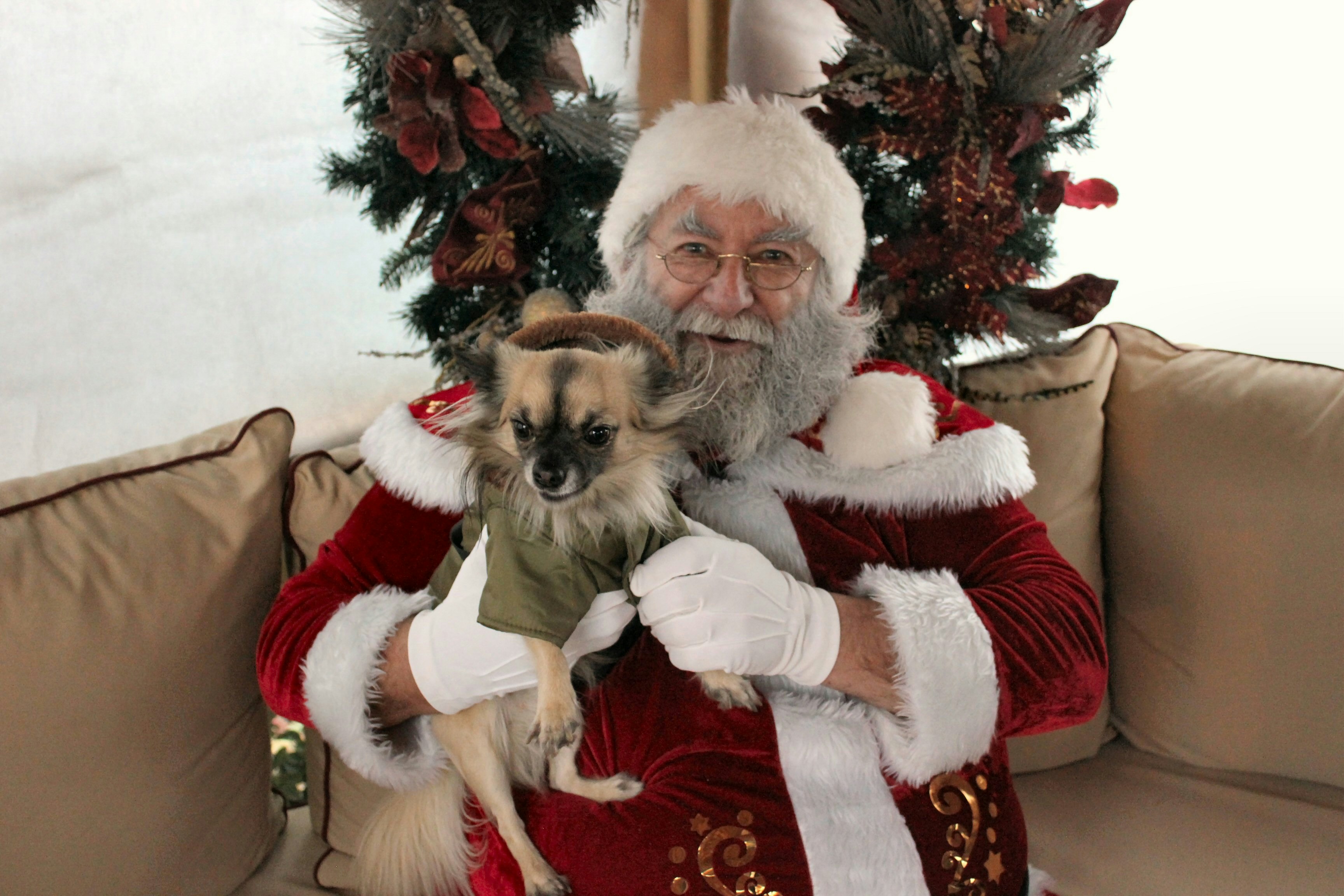 Une personne en costume de Père Noël tenant un chien