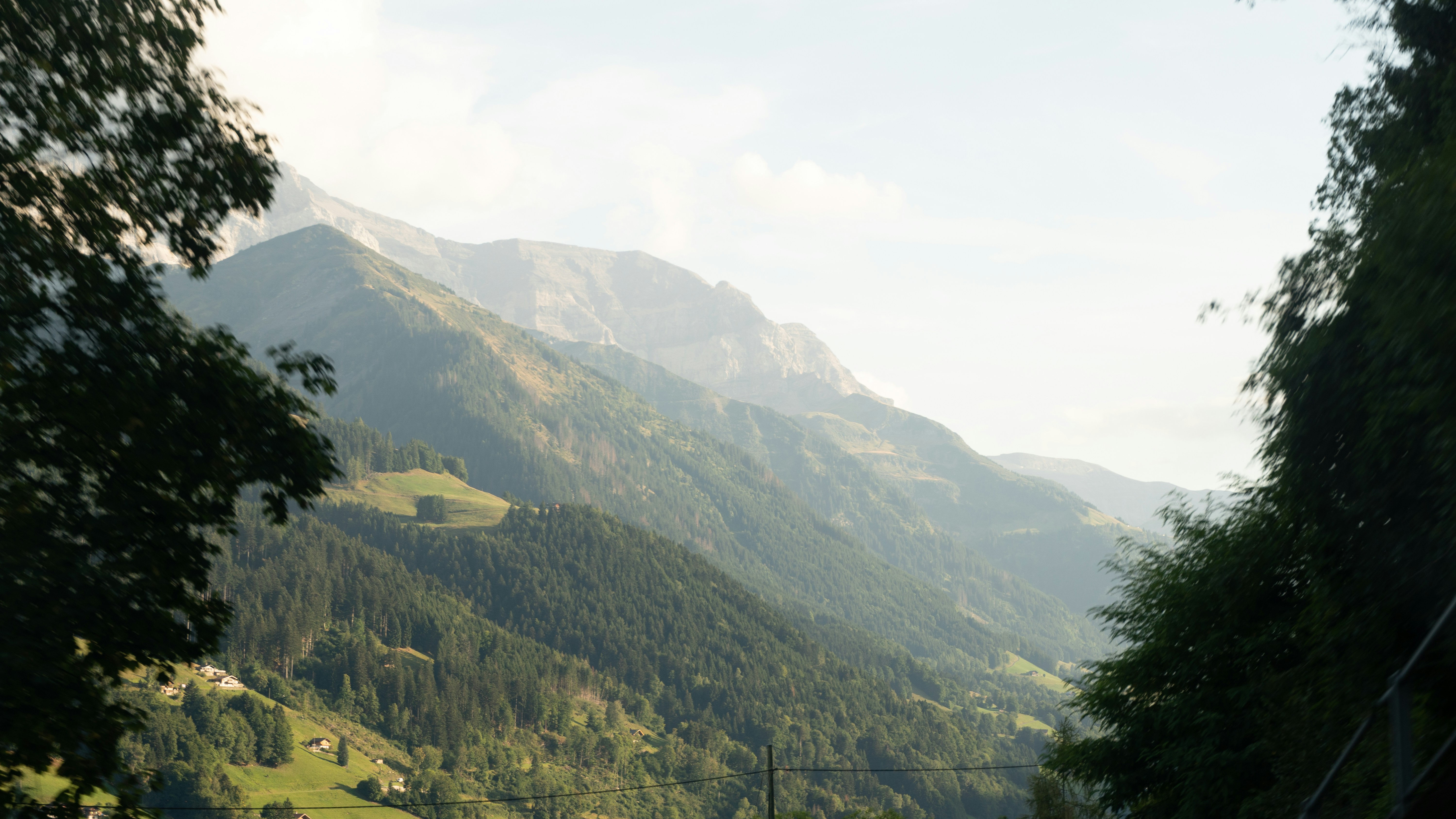 Photo by kotzo_photo