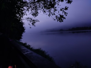 A tranquil lakeside at dawn with gentle mist hovering over the water.