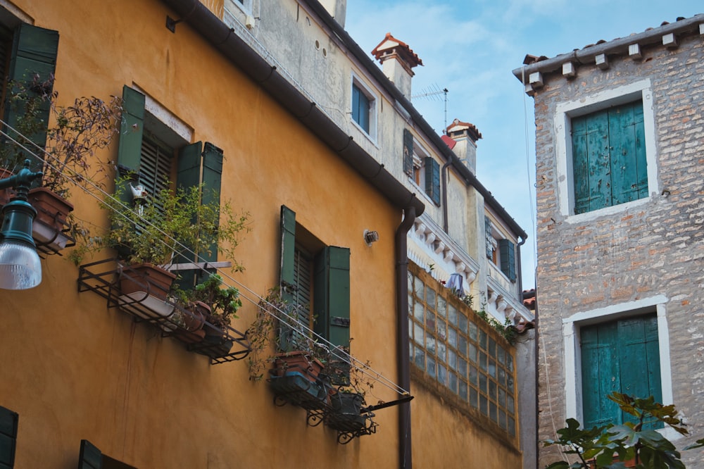 a building with windows and plants on the side