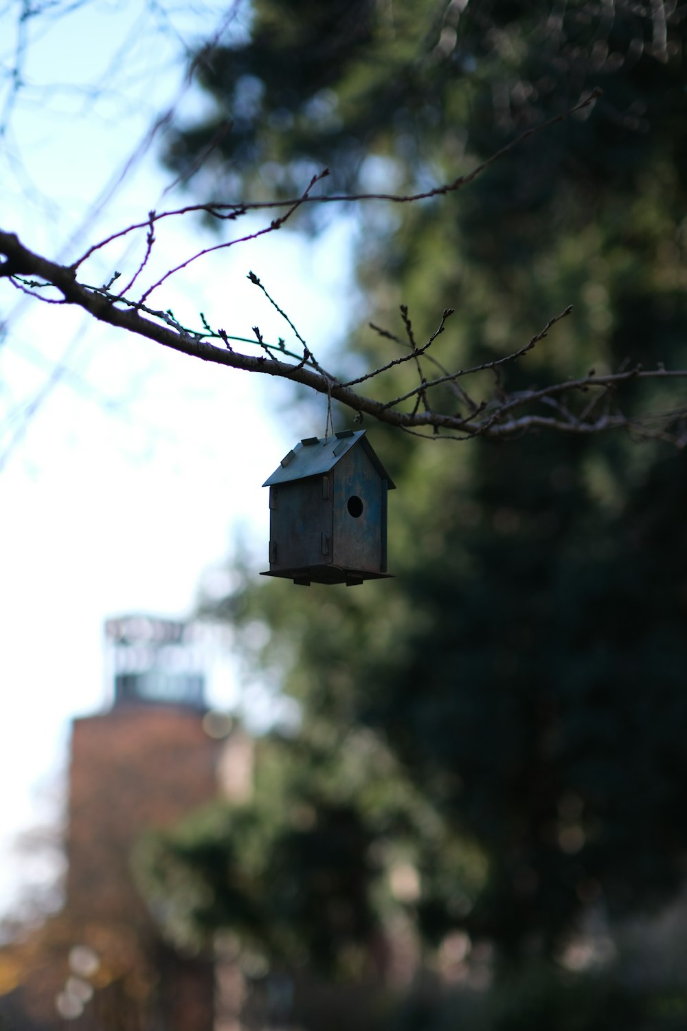 a birdhouse on a tree