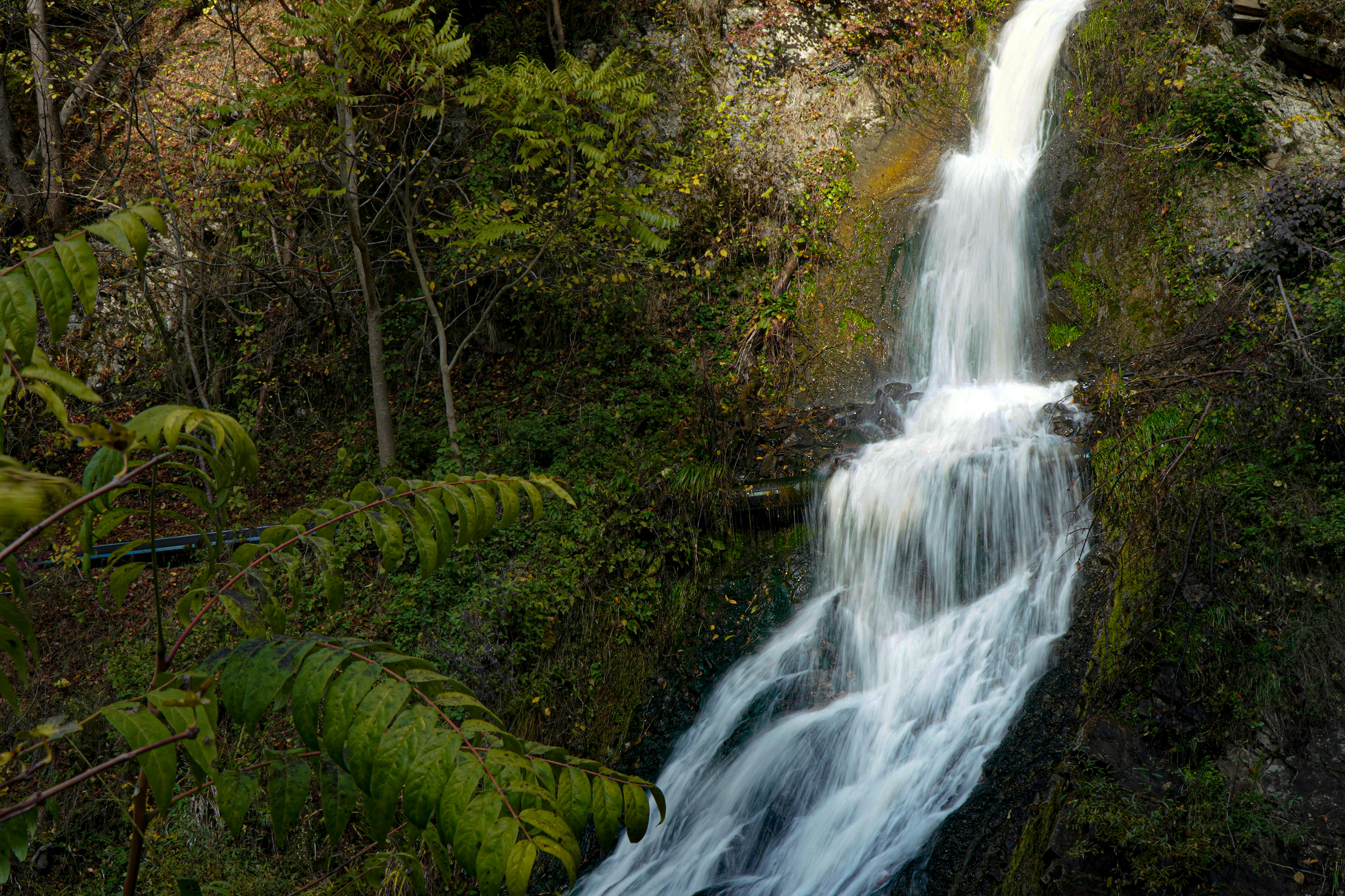 a waterfall in a forest