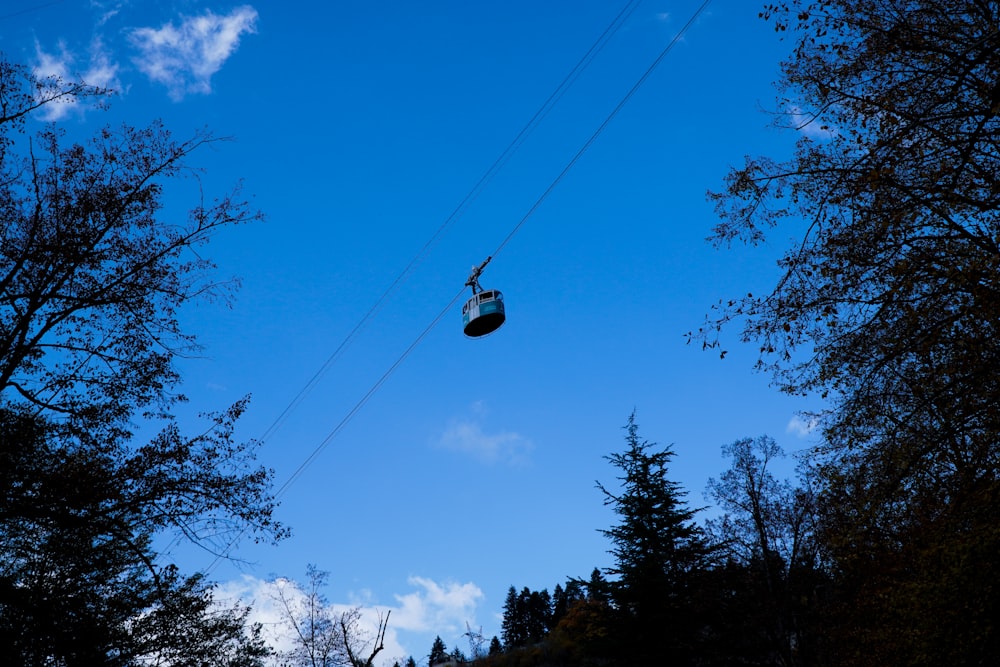 a person in a chair in the air with trees in the back