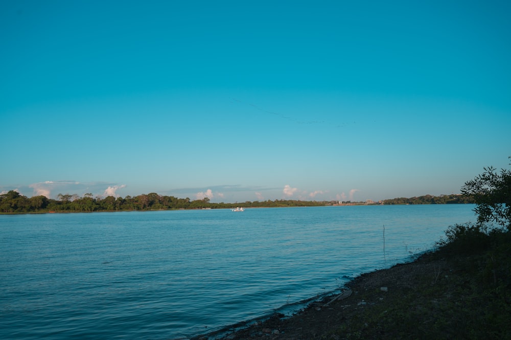 a body of water with trees and a land in the background