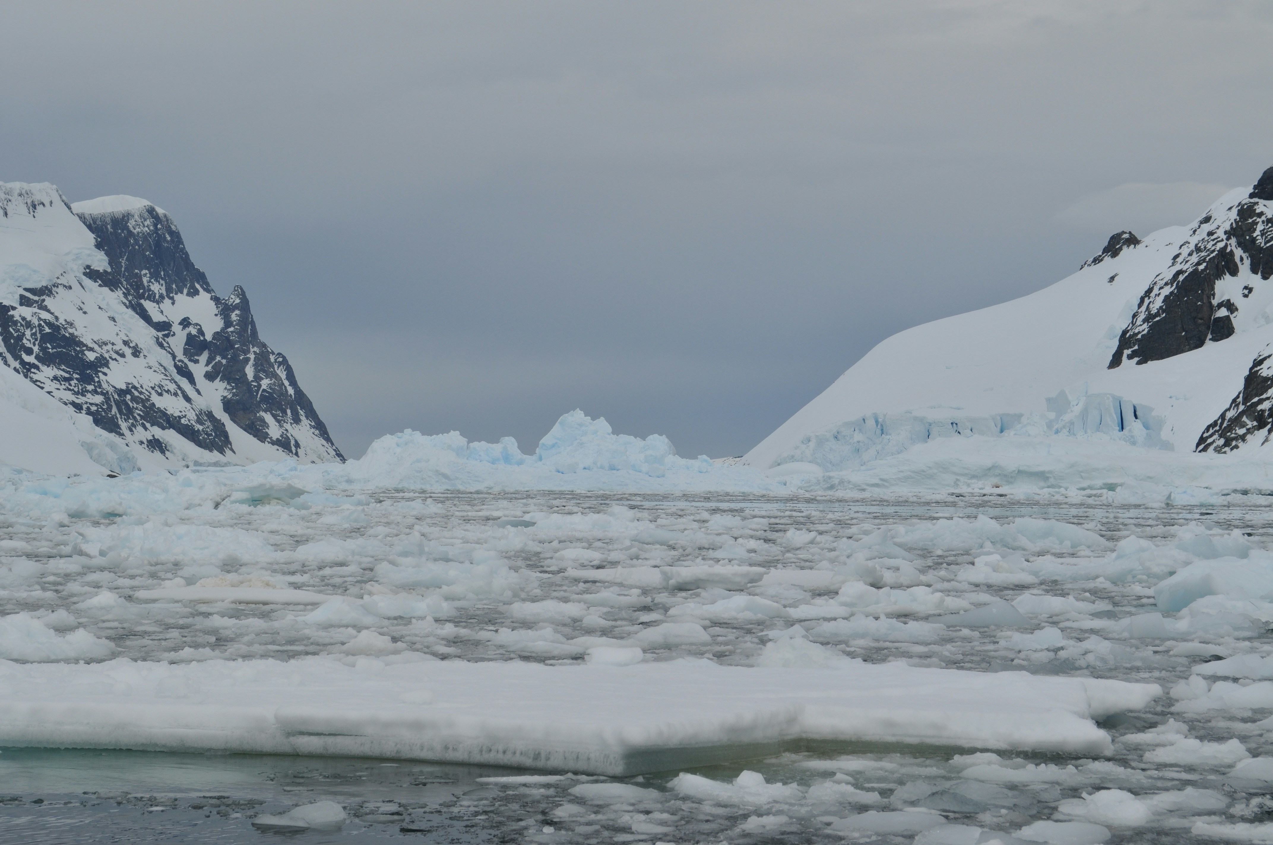 Photo by cooksphotography