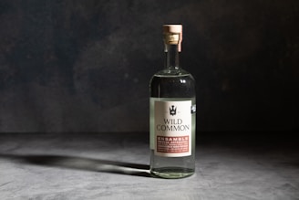 A bottle of Wild Common mezcal is placed on a smooth, textured surface with a dark, moody background. The bottle is clear, showcasing the transparent liquid inside, and features a label with the brand name and product details. The lighting highlights the contours of the bottle, casting a subtle shadow.