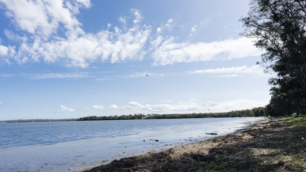 a body of water with trees and a blue sky