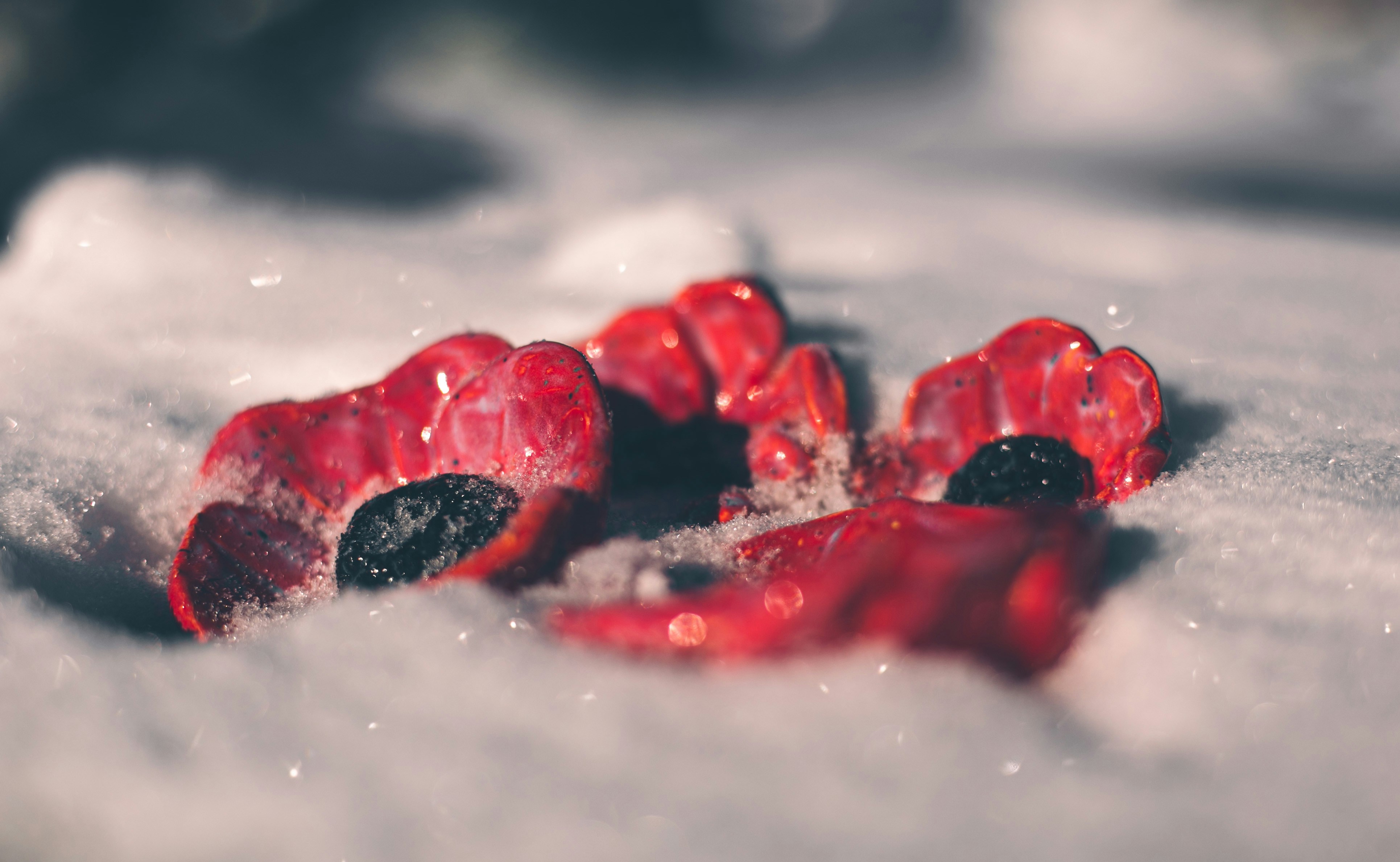 a close up of some berries