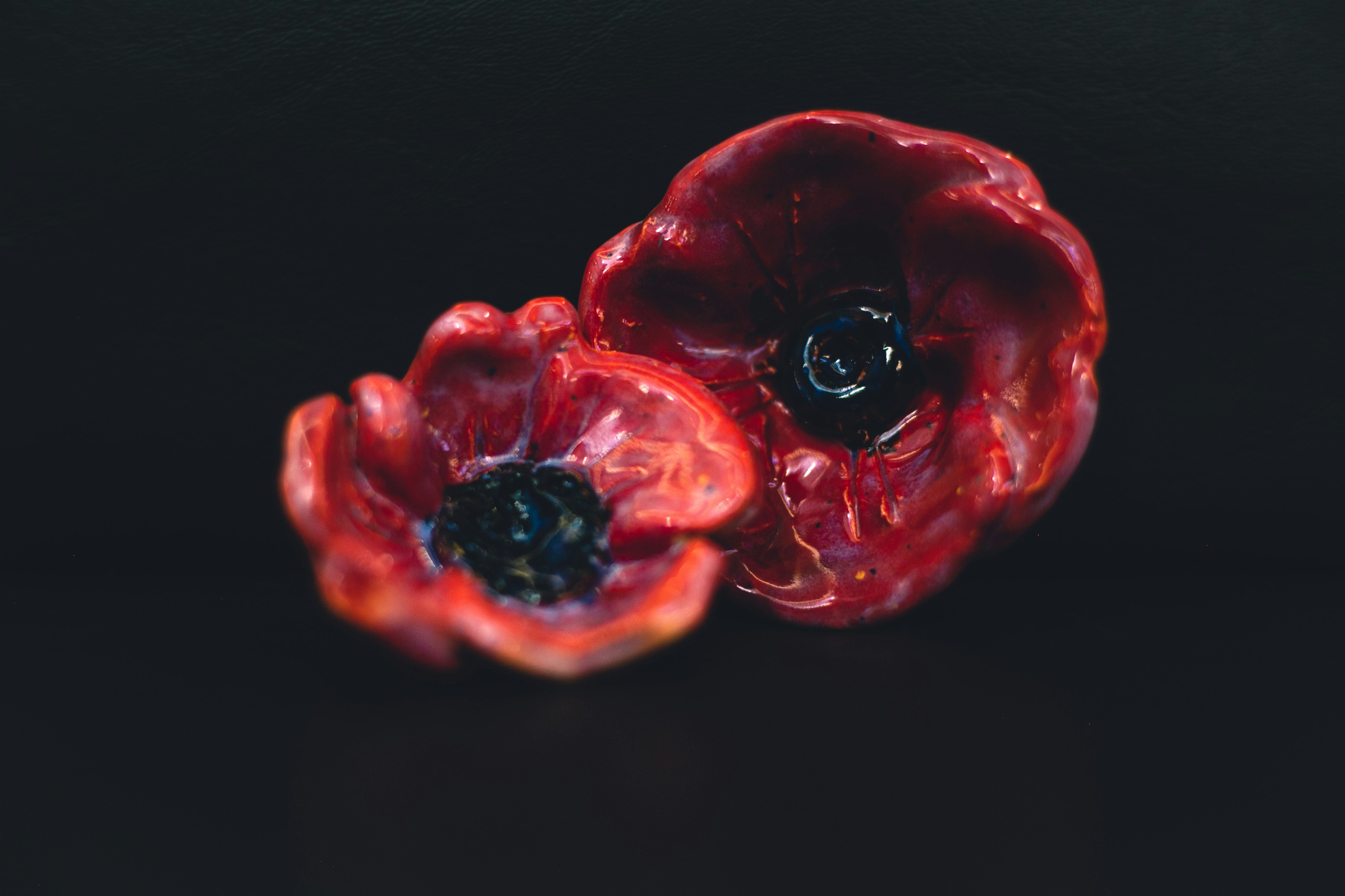 a red rose with a black background