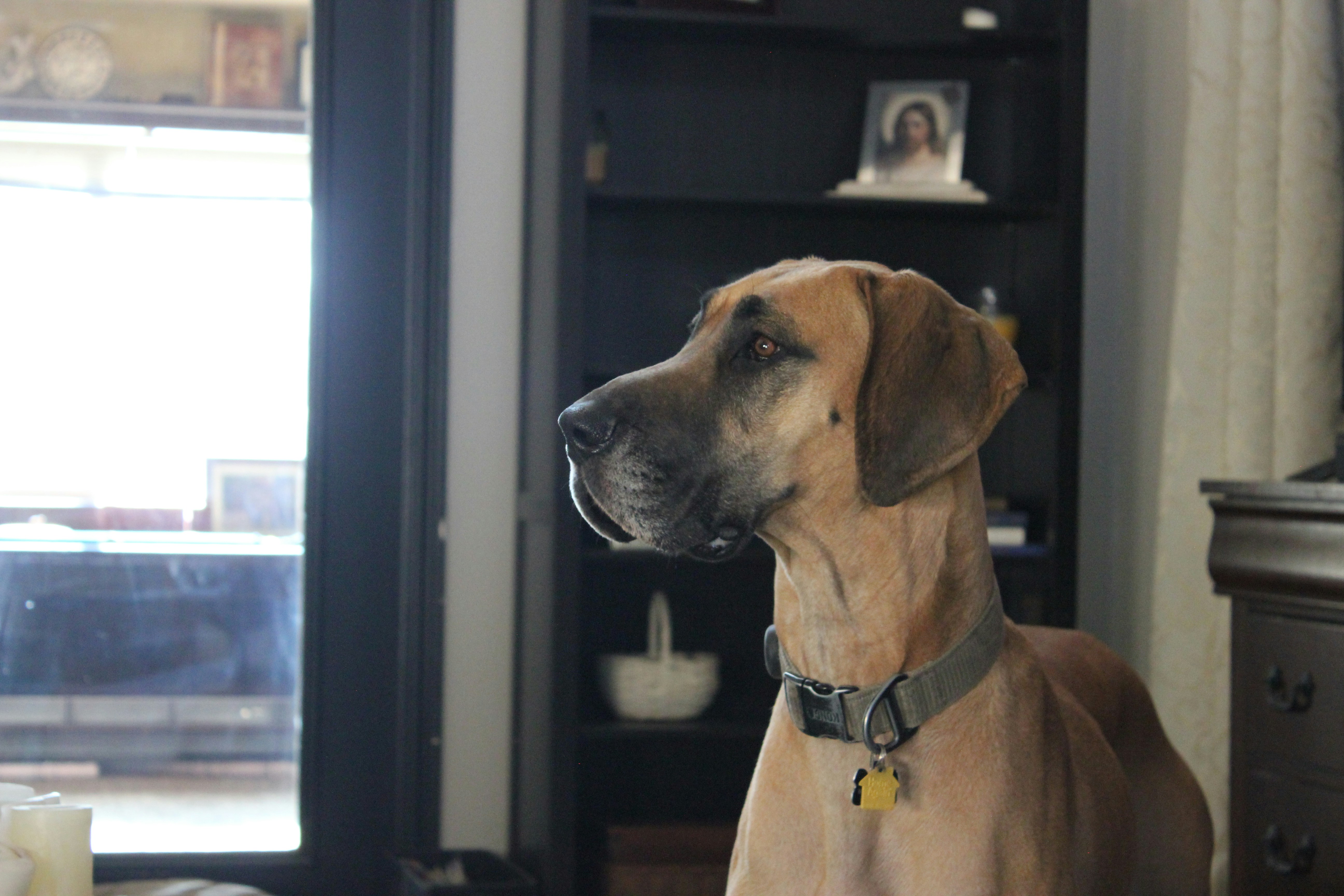 Photo by keatonrapier