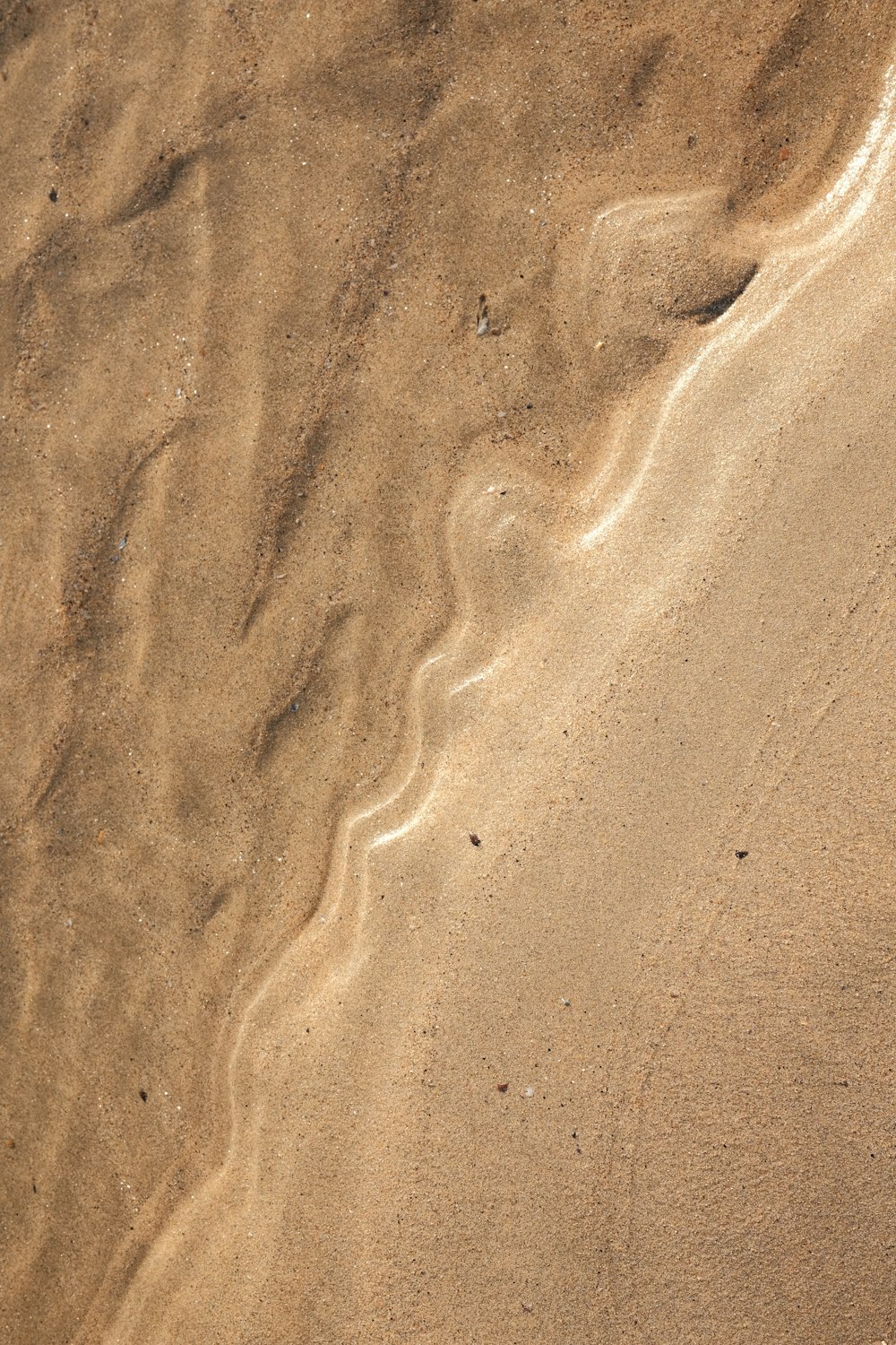 a close-up of a rock