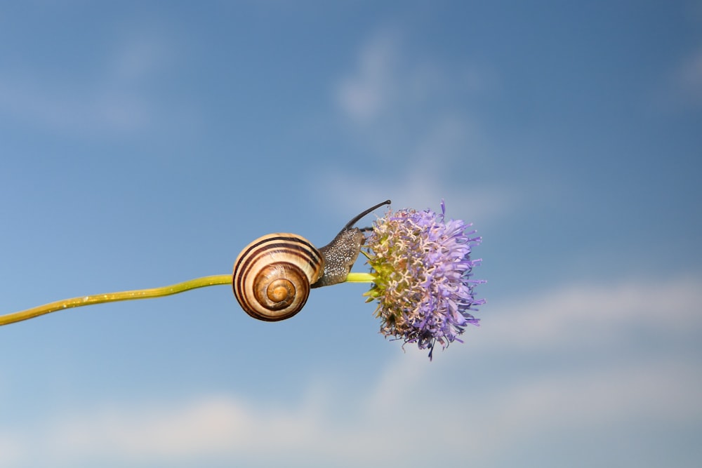 a light bulb with a flower attached