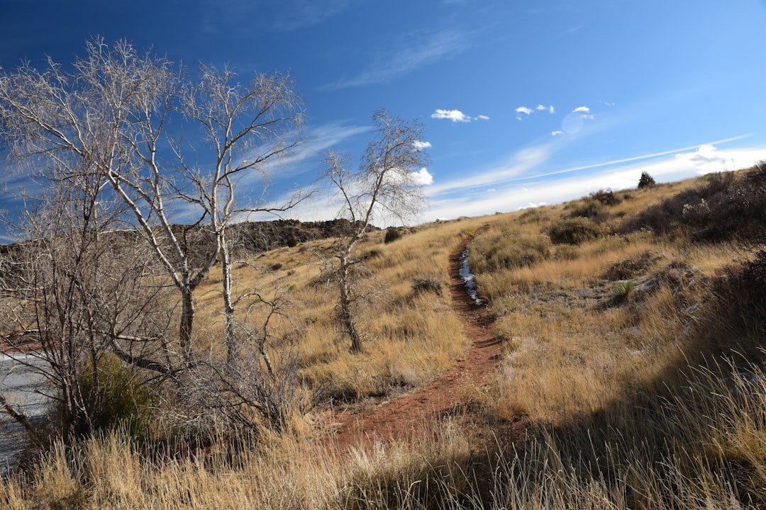 a dirt road in a dry grassy area, Mount Falcon Park, Morrison, CO