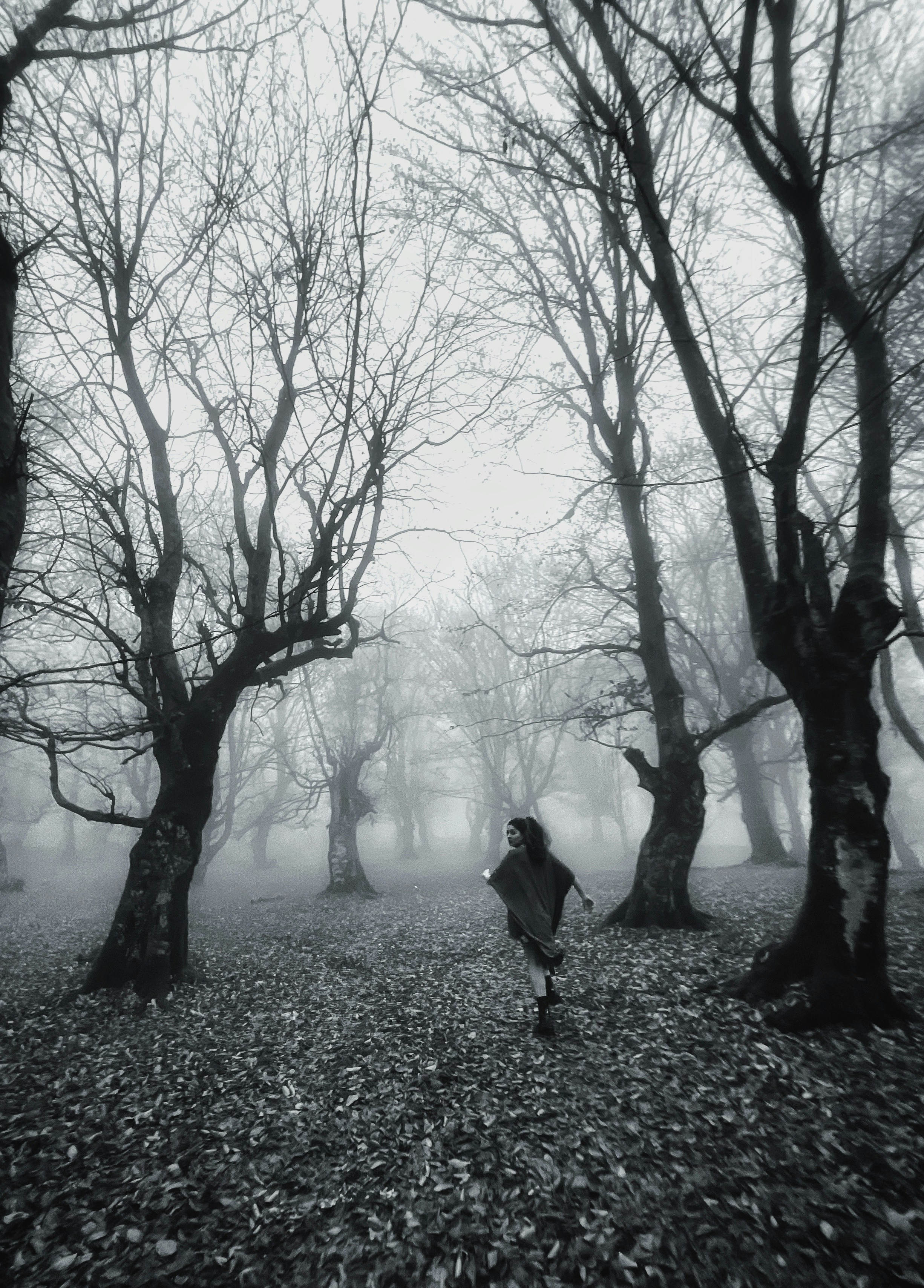 Photo by shahinkhalaji