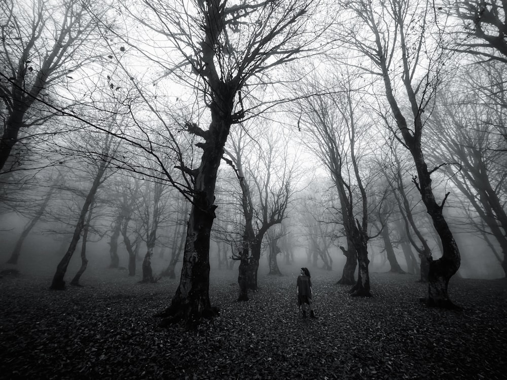 a person walking in a foggy forest