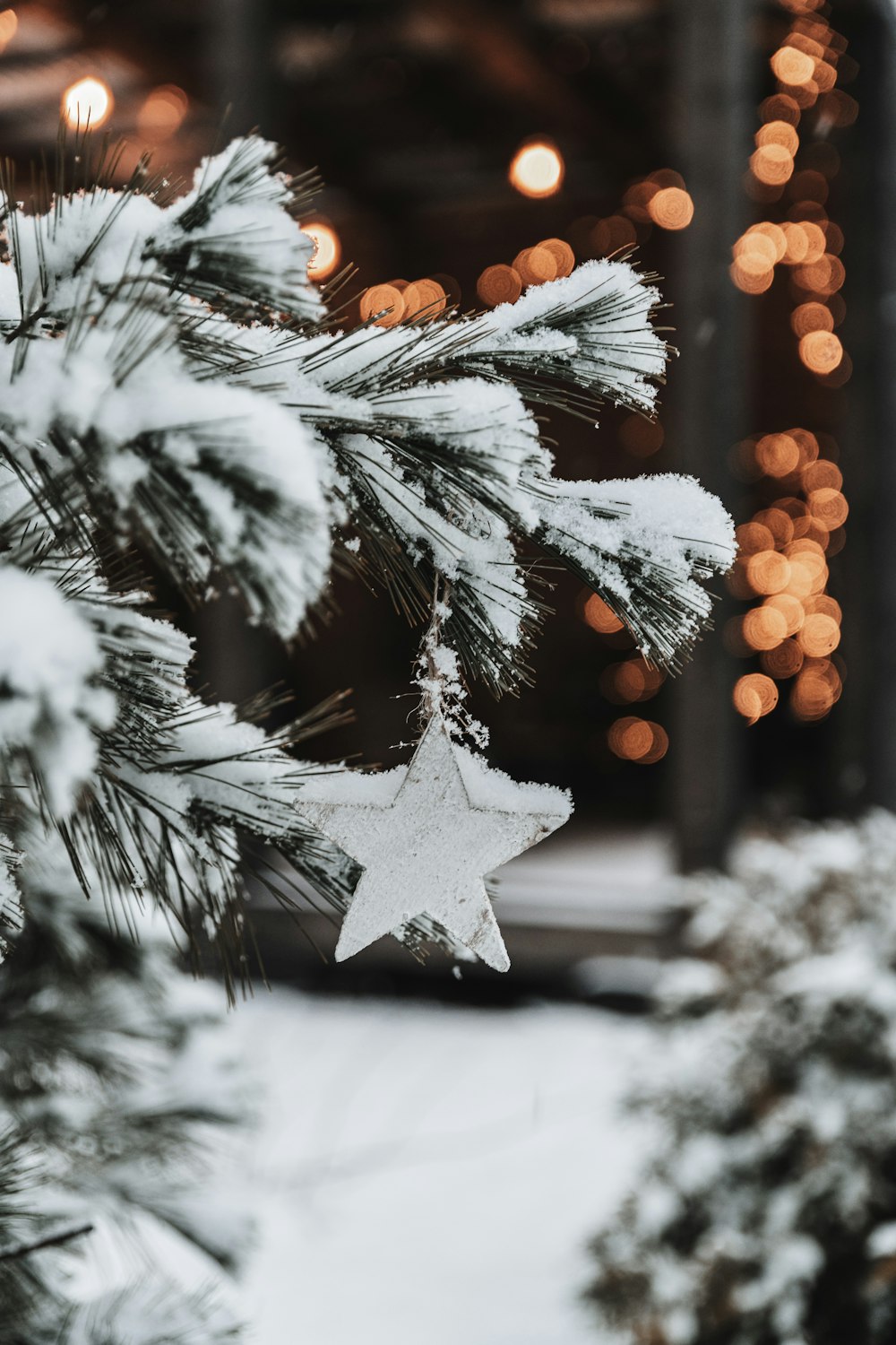 a tree with snow on it