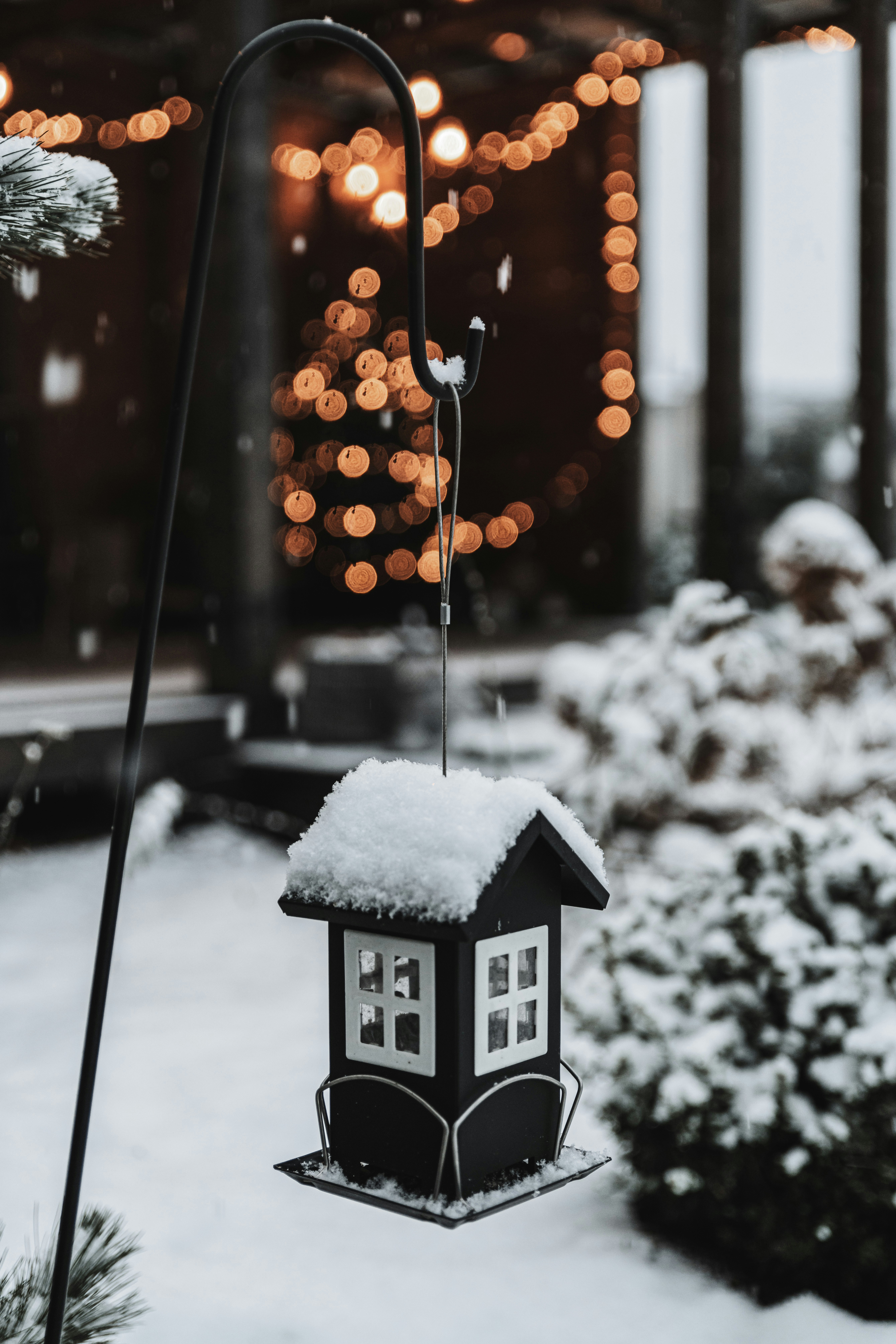 Photo by anitaaustvika