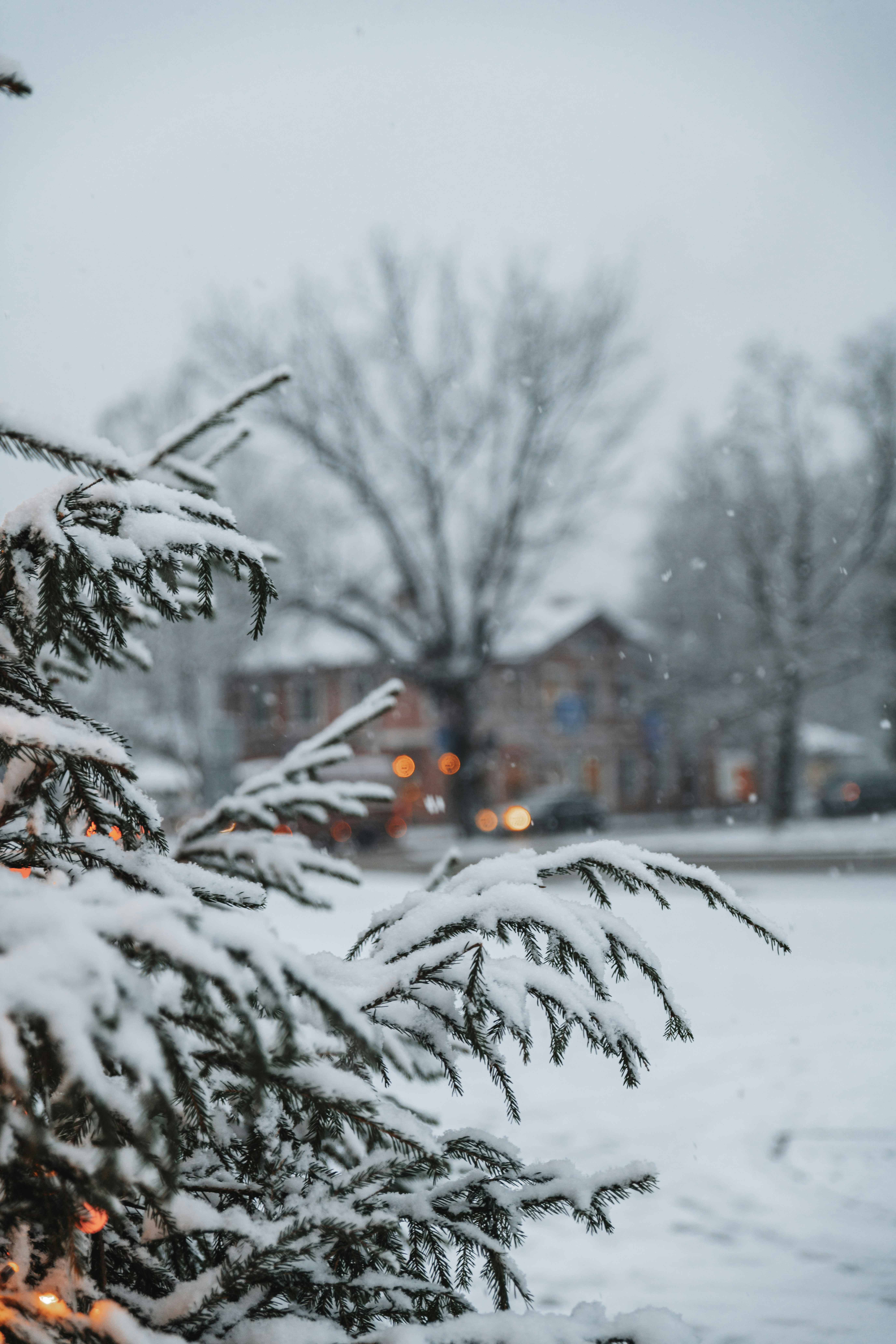 Photo by anitaaustvika