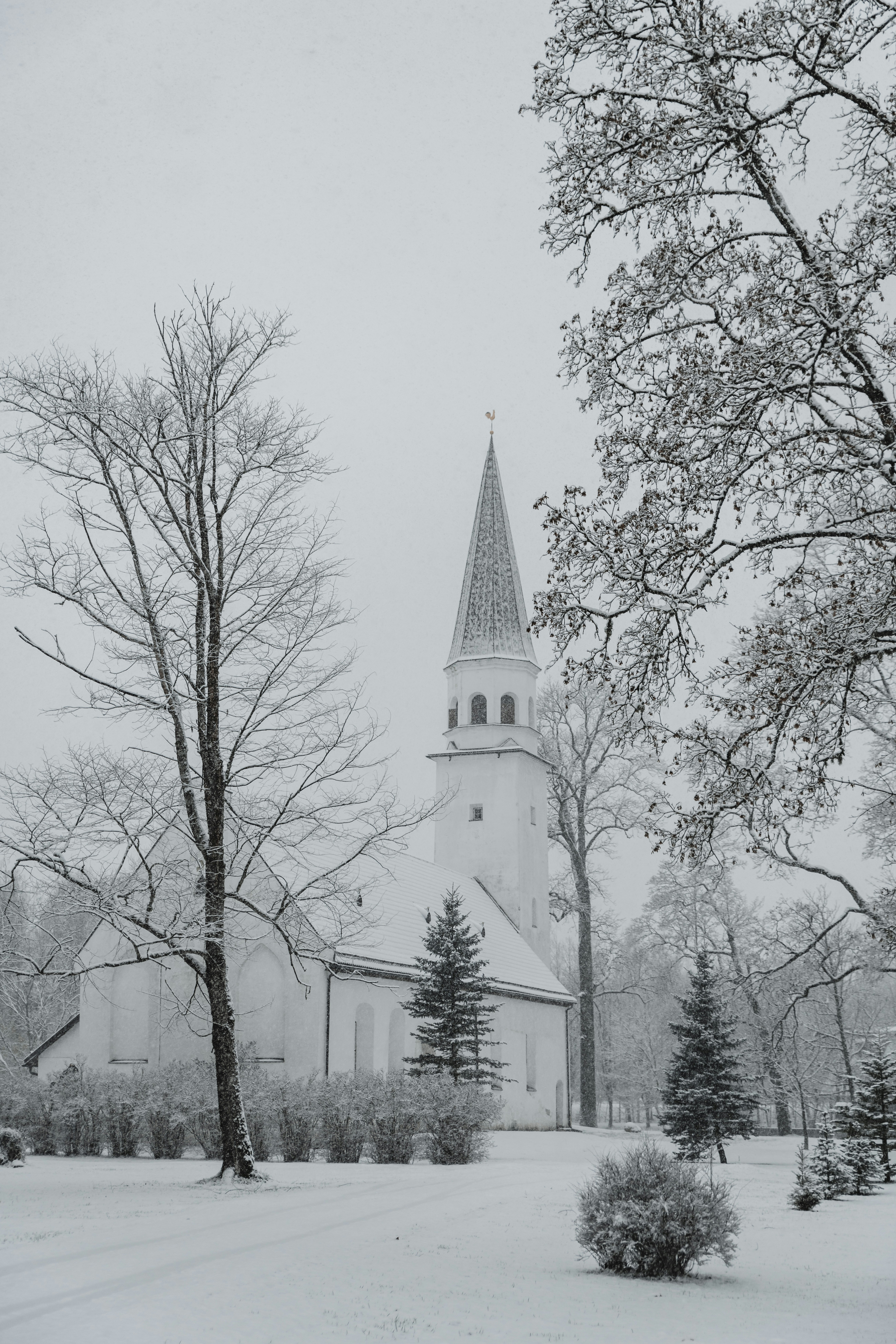 Photo by anitaaustvika