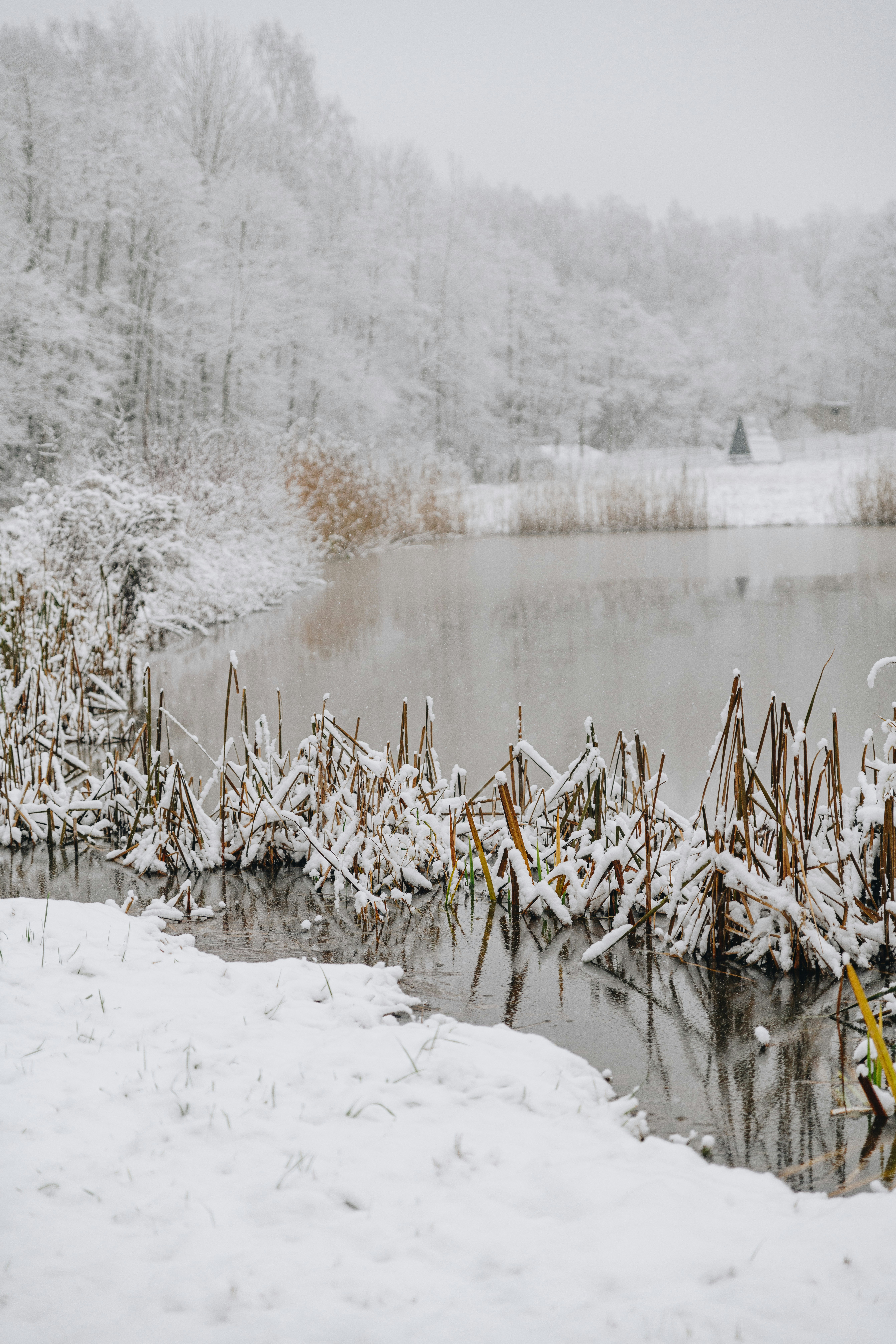 Photo by anitaaustvika