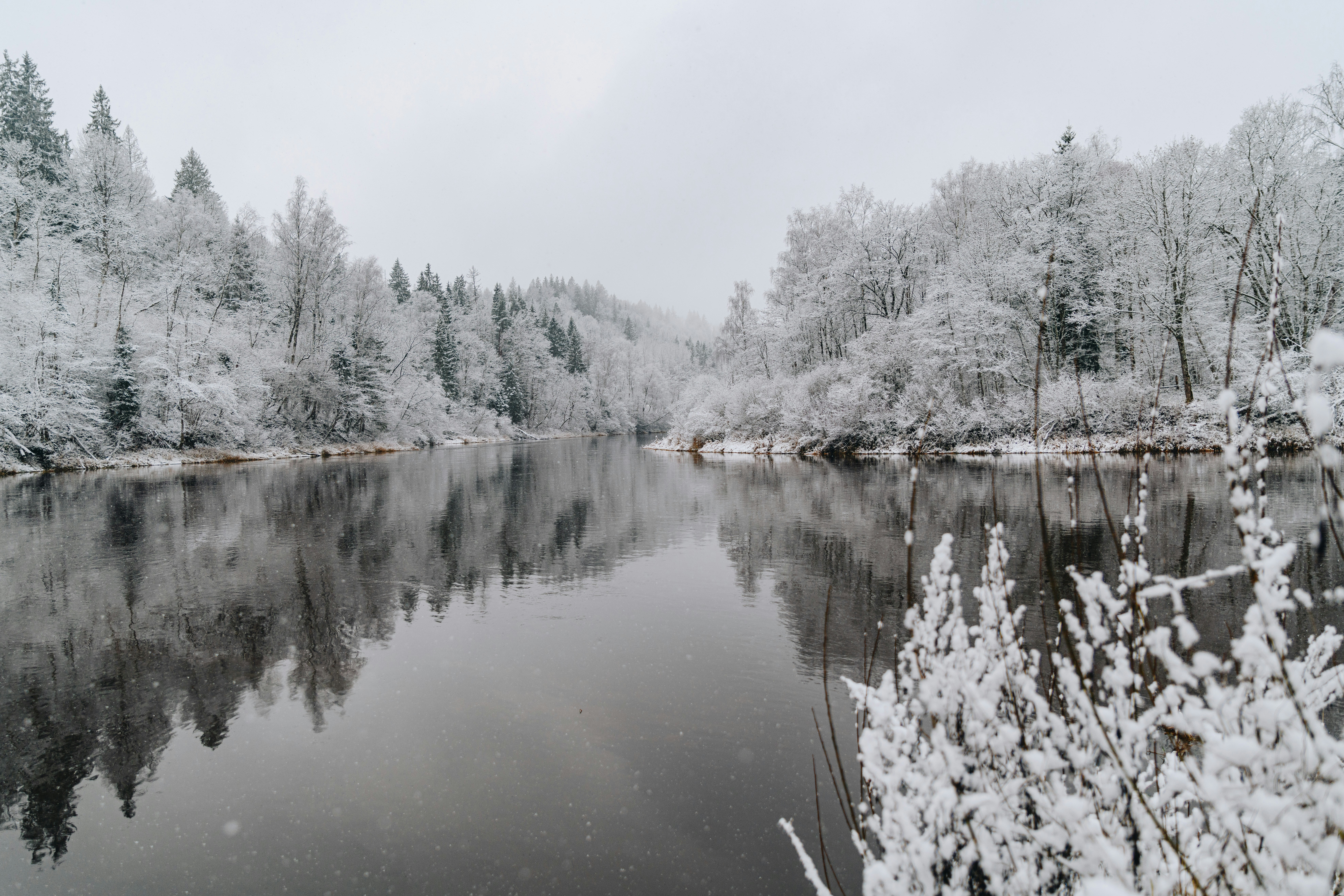 Photo by anitaaustvika