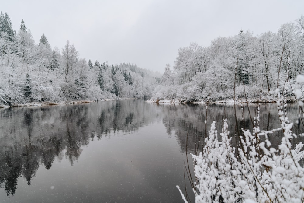 a lake surrounded by snow covered trees