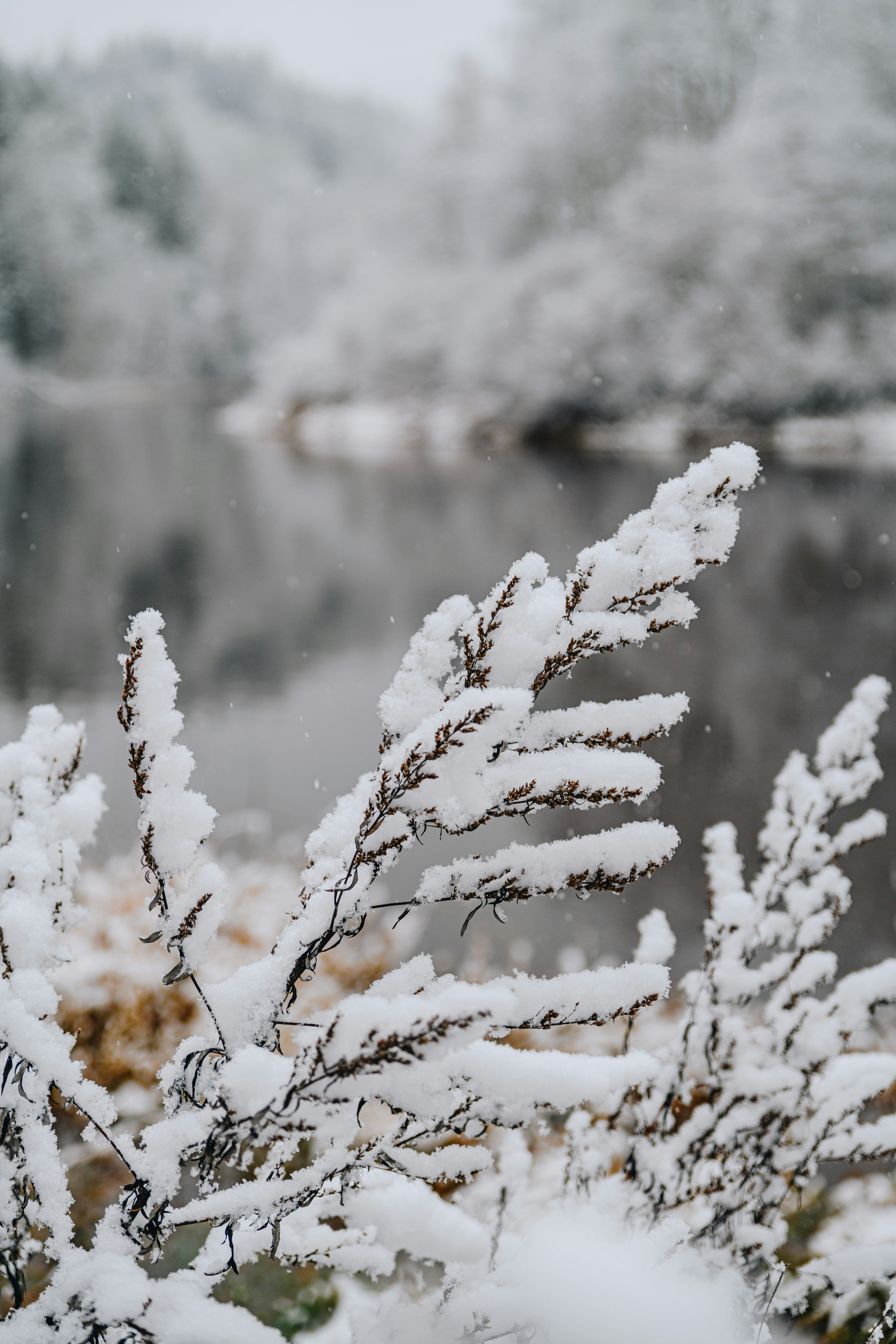 Photo by anitaaustvika