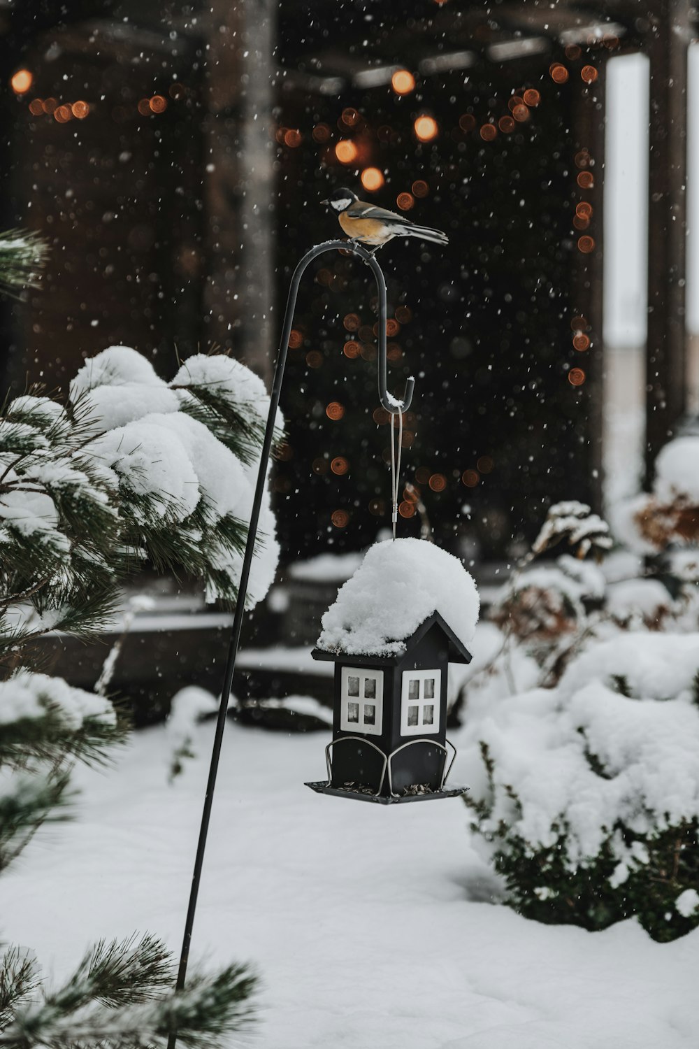 a snow covered yard