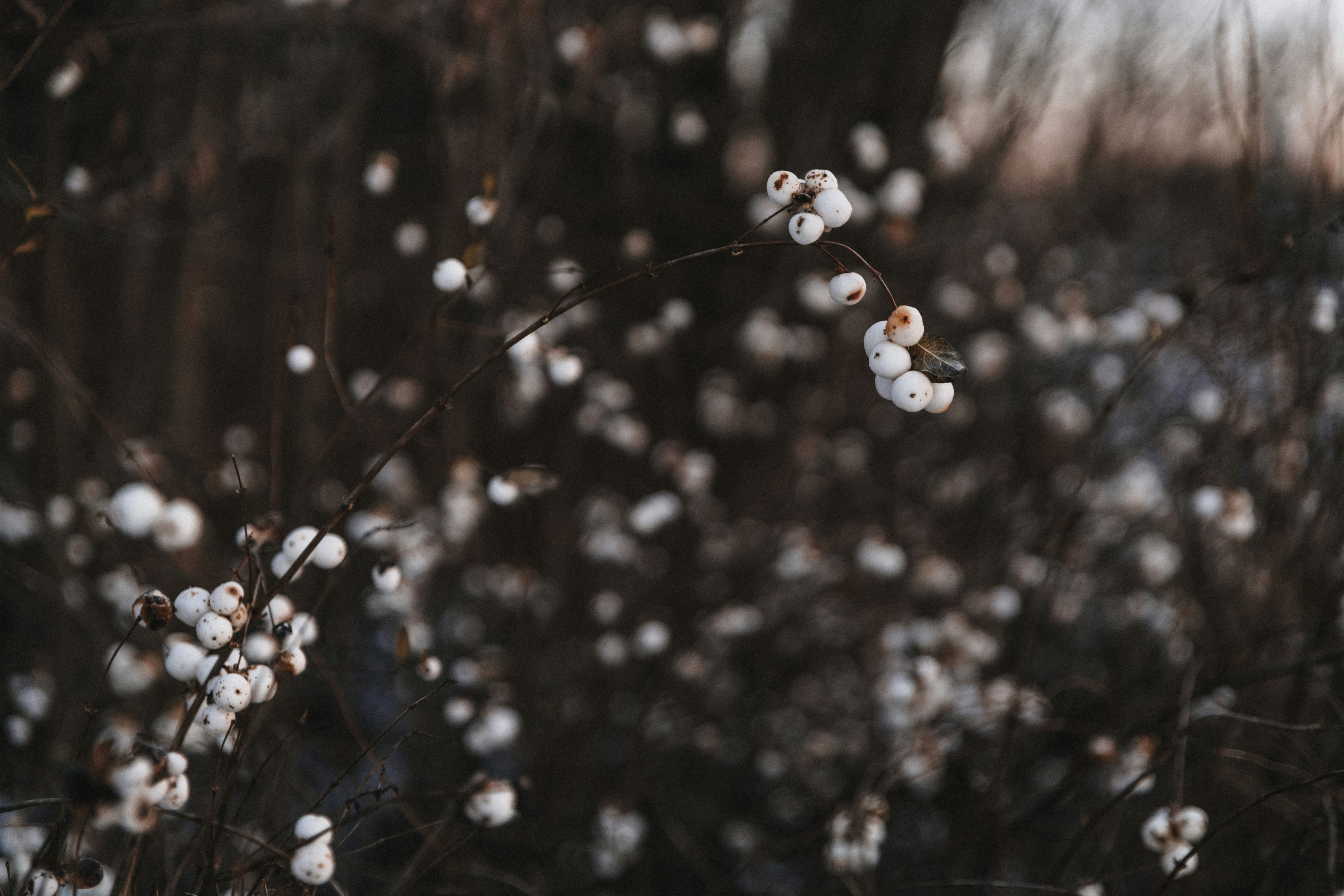 Photo by anitaaustvika