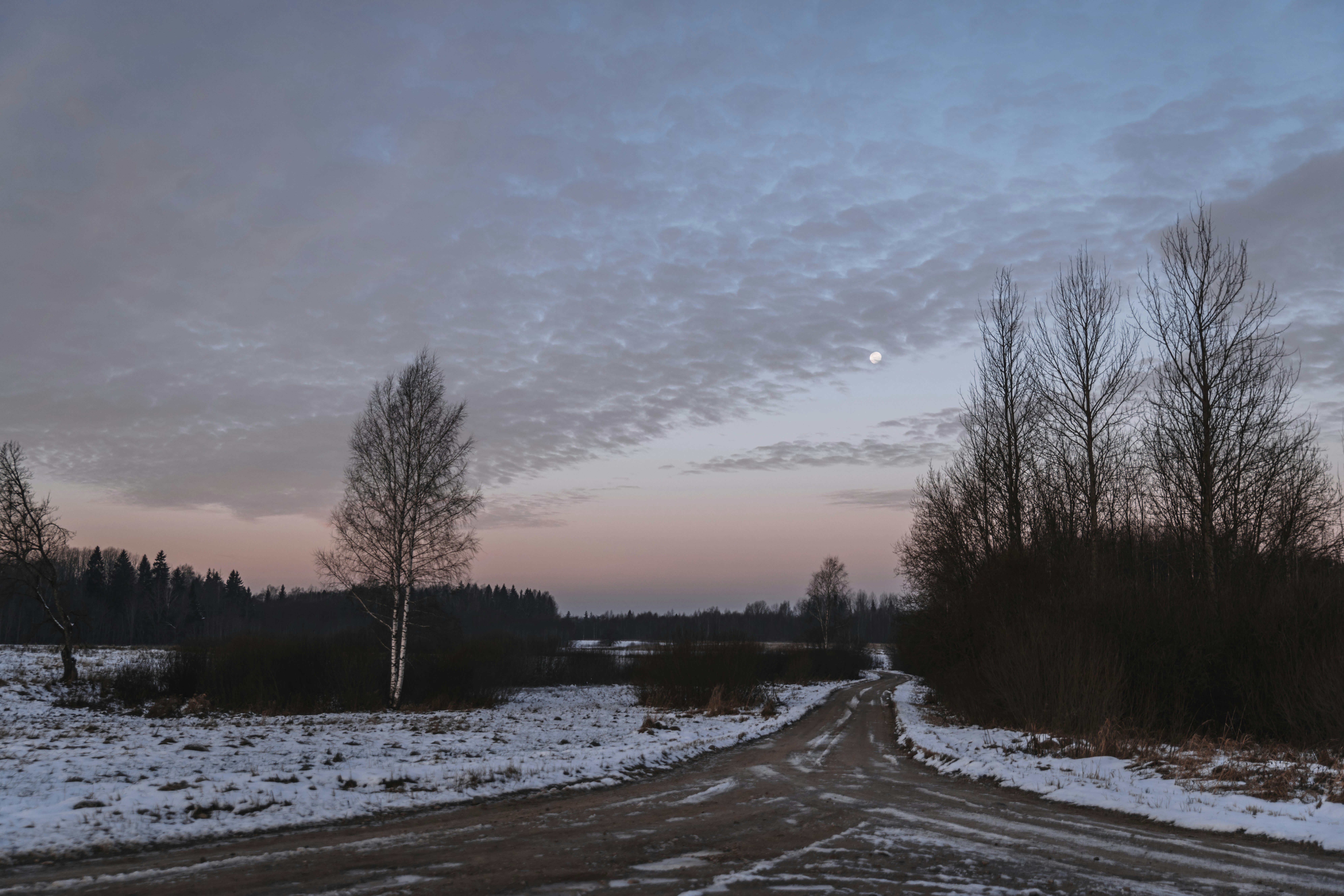 Photo by anitaaustvika