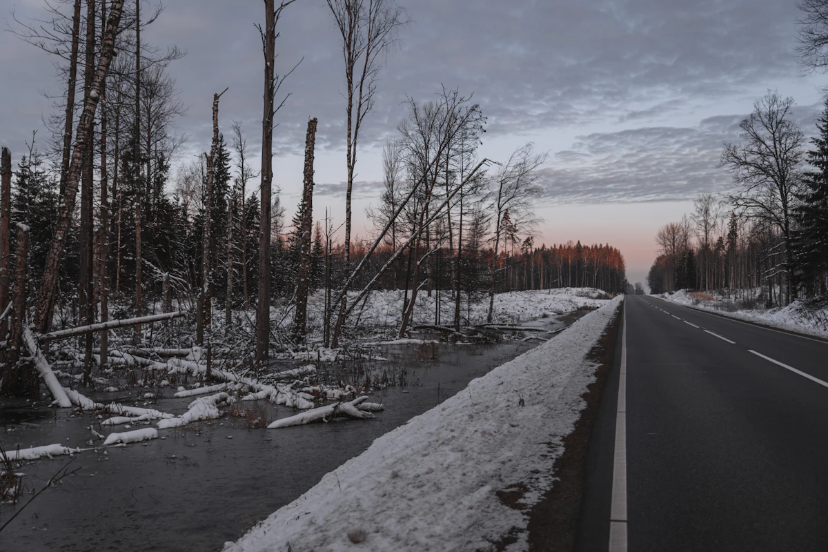 Nids de poule hiver 2026 : pourquoi c'est pire cette année et comment les réparer durablement