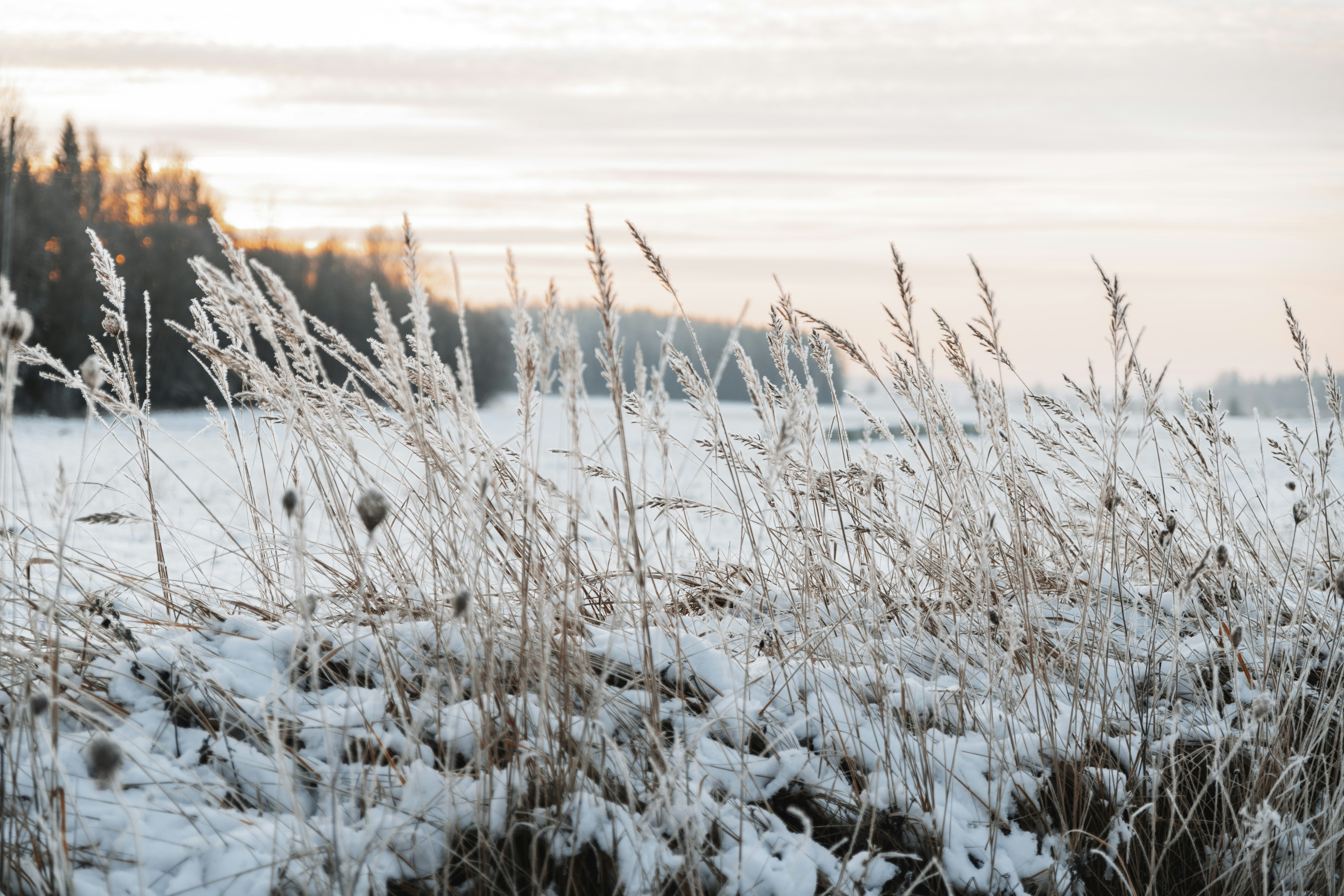 Photo by anitaaustvika